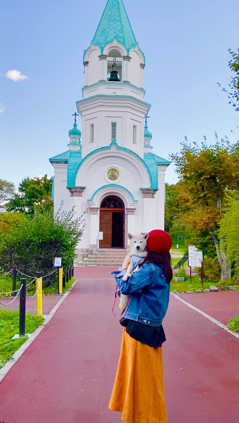 柴犬 けんしろう ゆりあのインスタグラム：「🐕🍁⛪️🚡🍣  2023.10.12 旅行初日の函館まとめ✨  函館駅に降り立った ゆりあさんと愉快な仲間たち ホテルに荷物を預けて 函館の街を散策しました🐕🐾  #金森赤レンガ倉庫  #函館ベイサイド店 #八幡坂  #ハリストス正教会  #カトリック元町教会  #函館山ロープウェイ #函館山 #きくよ食堂ベイエリア店  #函館 #hakodate   旅レポや取りこぼし動画は ストーリーズにゆっくりまとめていく予定です🙇‍♀️」