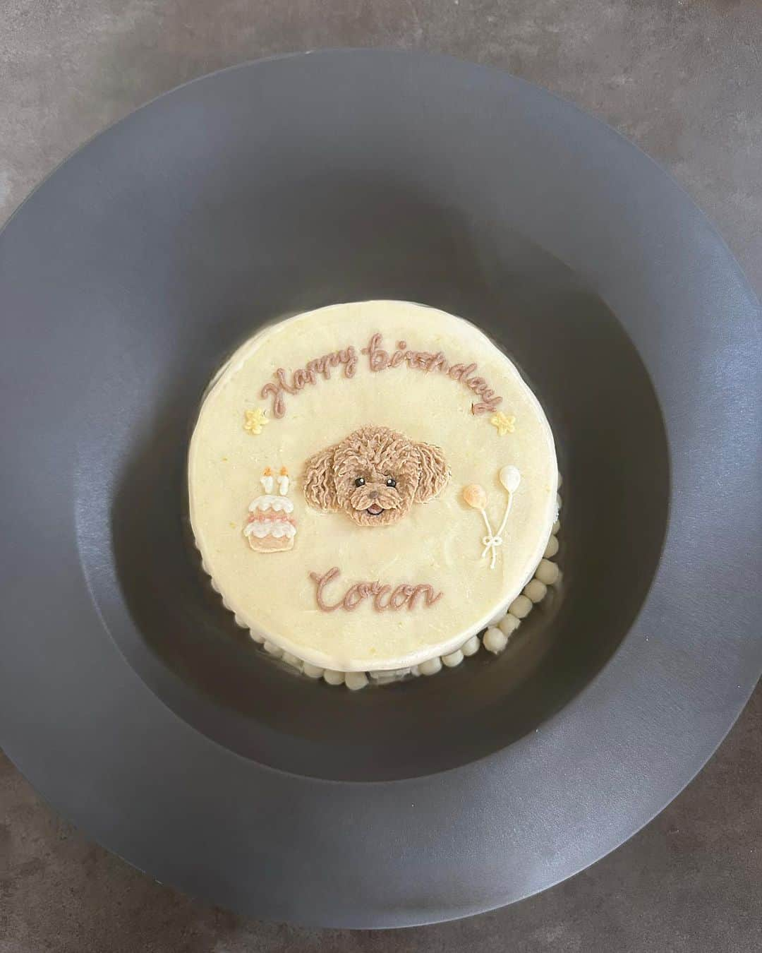 一ノ瀬恋さんのインスタグラム写真 - (一ノ瀬恋Instagram)「CORON🐶  Happybirthday 💛💛💛 11さいになりました✨ いつもかわいいころん🐶 ツンデレで愛しい愛犬ですん💛  今年のケーキは  @mana_and_more  でフルオーダーしました💛 可愛く作っていただいて大満足😍  ワンズのお誕生日はケーキを用意するんだけどその度にケーキ屋さん探すのが楽しい🐶💛  #愛犬お誕生日 #トイプードル #犬用ケーキ」10月15日 12時02分 - mayu19900323