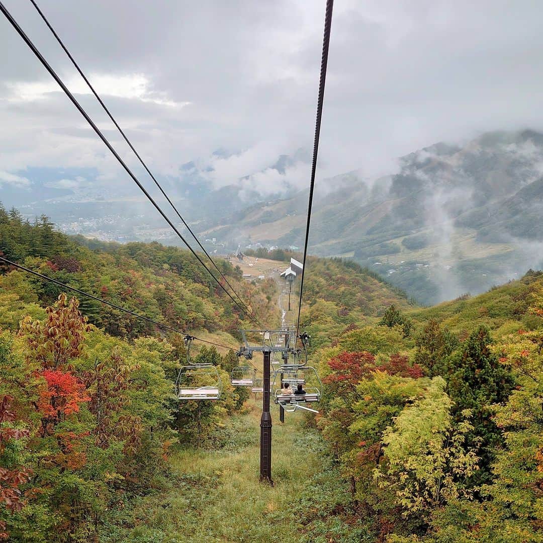 白馬岩岳スノーフィールドさんのインスタグラム写真 - (白馬岩岳スノーフィールドInstagram)「朝晩の冷え込みにより岩岳山頂の紅葉が進んで、秋の色合いが広がっています。 5線サウスリフトからの景色も良い雰囲気ですね。 山頂は見頃が始まり、ゴンドラからの景色は麓は色づき始めから、山頂に向かって秋の景色になっていく感じです。  本日は北アルプスが雲に覆われて見えませんが、白馬岳山頂では雪が降ったそうです。明日晴れたら、もしかしたら三段紅葉が見られるかもしれませんね。  #白馬岩岳マウンテンリゾート #白馬マウンテンハーバー #白馬ヒトトキノモリ #白馬ヤッホースイング #白馬ジャイアントスウィング #hakubagiantswing #長野県 #白馬村 #白馬 #白馬岩岳 #絶景 #絶景テラス #絶景ブランコ #北アルプス #白馬三山 #紅葉シーズン #紅葉狩り  #お出かけスポット #映えスポット #三段紅葉  #長野旅行 #秋の風景 #nagano #hakuba #hakubavalley #hakubaiwatake #iwatake #hakubaiwatakemountainresort」10月15日 12時29分 - hakuba_iwatake