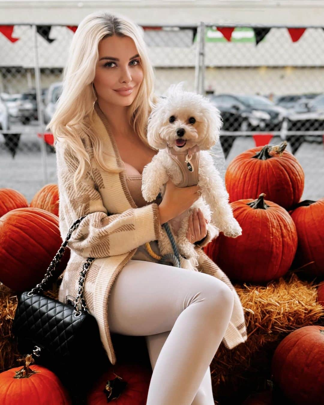 エミリー・シアーズのインスタグラム：「Pumpkin patch puppy date with @stevie_bugs @davethepuppydog and auntie @ashalexiss 🐶🎃🧡👻🍂 #timelinecleanse #fall #pumpkinpatch #puppy #dogmom」