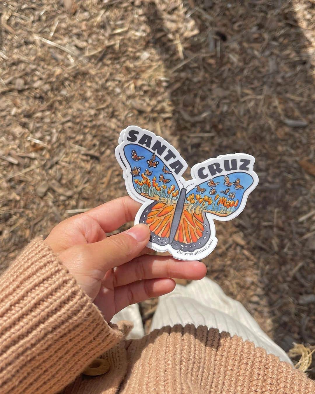 栗山遥のインスタグラム：「すごく久しぶりのアメリカ、カリフォルニア🌵❤︎ 今回の旅のメインはサーフィン。1ヶ月弱くらい、移動しながら、ゆっくりゆっくり過ごす予定。 新しい景色を見て、感じて、沢山世界を吸収して帰りたい！ 物価は高いし、円安すぎるけど 今は今しかないから、この経験はお金にも何にも変えられないスペシャルなものになると信じてる🌱  昨日早速サンタクルーズでサーフィンして、波はパーフェクトなんだけど、朝一だったこともあり寒くてびびってます。笑 LAはもう少し温かいといいな☺︎」