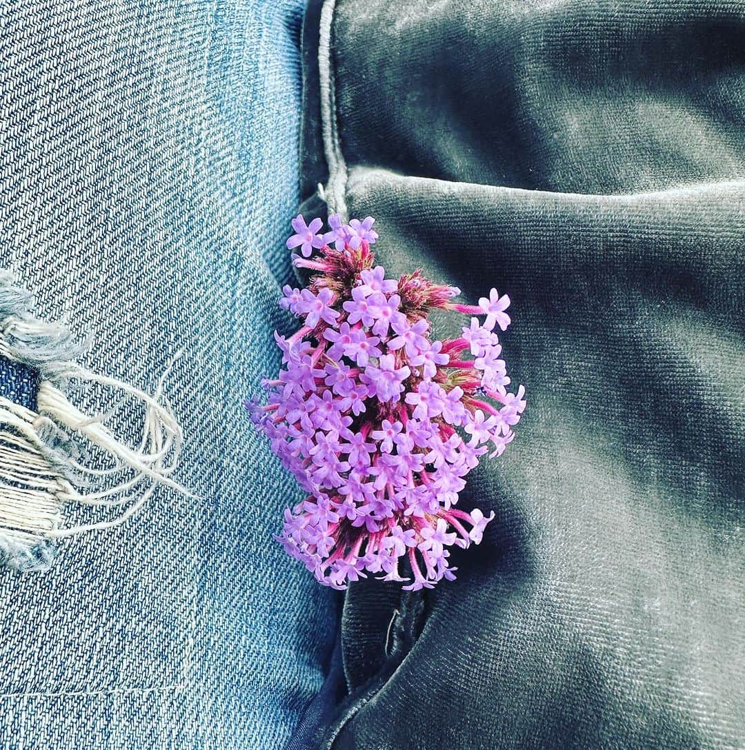キャサリン ミッシェルのインスタグラム：「Sunday flowers just because. My favorite jean’s @magnoliapearlclothing & beloved coat @cpshades. #simplepleasure #flowers #joy #fleurs #peace #prayalittle #prayalot #hope #sunday」