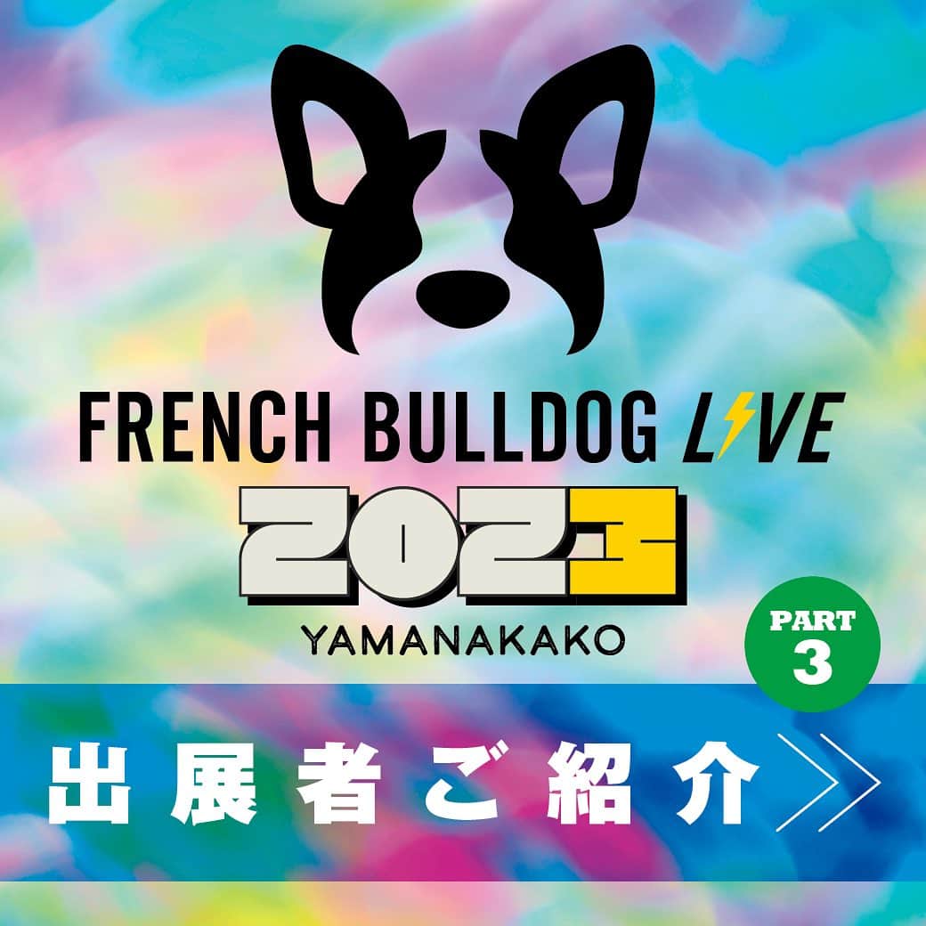 French Bulldog Lifeのインスタグラム：「【フレブルLIVE 出展者情報③⚡️】 フレブルLIVEに出展する約150店舗のなかから、キラリと光るショップをご紹介！ ------------------- ⚡️Cul‐Ｂ by USHH＜ｷｭｰﾌﾞ＞ ヒューマンクオリティーにこだわり、家族である愛犬とエフォートレスで愛のある生活を提案するブランド。 フレブルメインのリンクコーデや雑貨も！ @cul_bbyushh   ⚡️La bull 「lave french bull」をコンセプトに、フレブル専用ベッドやお洋服を製造・販売。 品質にこだわり、すべて国内製造しているため、愛ブヒもオーナーも安心！ @la_bull.official   ⚡️うつわの三和堂≪有田焼≫ 鼻ぺちゃ犬が使いやすい食器を、試行錯誤を重ね有田焼窯元と共同製作。 そのほか、珍しい有田焼の割烹食器も出品！ @sanwado_official  -------------------  ★フレブルLIVEの事前チケットご購入は、「本日10/15(日)」まで！  #フレブルLIVE行くよ #フレブルLIVE」