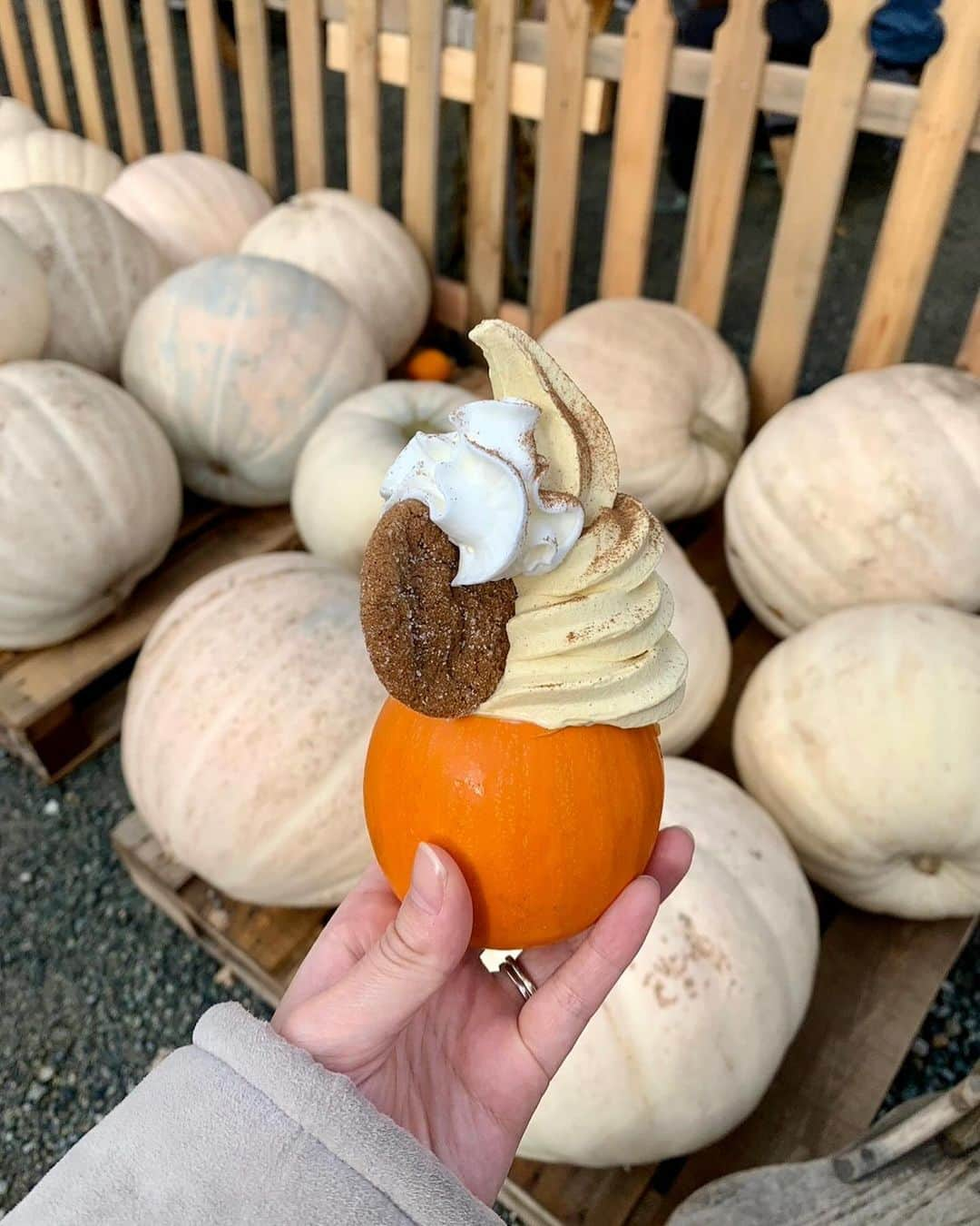 森万由子さんのインスタグラム写真 - (森万由子Instagram)「パンプキンパッチに行きました🎃  とにかくかぼちゃがたくさん！ そろそろハロウィンですね👻」10月15日 7時49分 - mayukomori0411