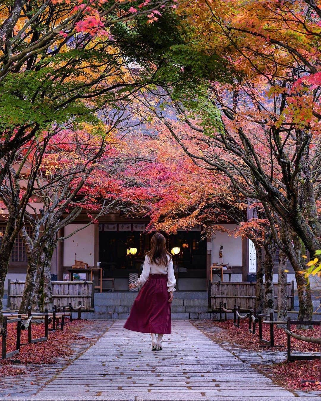 ジェットスター航空さんのインスタグラム写真 - (ジェットスター航空Instagram)「"行きたい！と思ったら【🍁】をコメント！ “次に行きたい”が見つかる#jettabi_japan #福岡編 ★ 紅色に染まる美しい境内🥰　#呑山観音寺  呑山観音寺（のみやまかんのんじ）は福岡県にある高野山真言宗の別格本山で、「のみやまさん」の愛称で親しまれています🍁 春の桜や石楠花（しゃくなげ）、梅雨の紫陽花に深緑と、四季の自然がとっても美しいお寺としても有名です🌸🍃  毎年秋になると、境内の千本の紅葉と千本のドウダンツツジが一斉に色づきます❤️‍🔥 鮮やかに染まった木々は燃えるような真っ赤❤️ 毎年多くの方が訪れて境内を散策しては、格別な紅葉の景色を楽しんでいるんでスター😍🌟  10月から11月下旬が見頃で、今年は10月28日(土)から11月23日(祝)に紅葉まつりが開催されます🏮 福岡県で秋を感じたいならぜひ呑山観音寺を訪れてみて😆💓  【呑山観音寺】 📍福岡県糟屋郡篠栗町萩尾２２７−４  -------------------------------------------- ／ 📣ジェットスターなら、福岡まで ＼ ✈︎東京（成田）から 片道¥5,580〜 ✈️名古屋（中部）から 片道¥5,490〜 -------------------------------------------- ジェットスター・ジャパン公式アカウント（@jetstar_japan）では「“次に行きたい”が見つかる」をテーマに就航地の魅力をご紹介✈️⭐️「#jettabi_japan」をつけて、皆さんのFun&Happyな旅の思い出をぜひご投稿ください！素敵なお写真は、公式アカウントでご紹介させていただきます♪  ⭐️Special thanks📸 by @rrrica（1枚目） / @to.yo.ki（2枚目）/ @annya.7s22pi（3枚目） / @mai_7100（4枚目） --------------------------------------------  ※運賃はエコノミークラス「Starter」。支払手数料、空港使用料等が別途必要です。受託手荷物の料金は含まれません。諸条件が適用されます。 ※就航地のご紹介内容に関する最新情報は、下記の参照サイト等でご確認ください。 -------------------------------------------- 【参照サイト】 呑山観音寺、Yokanavi --------------------------------------------  #福岡 #福岡観光 #福岡旅行 #ジェットスター #jetstar #jetstar_japan #LCC #飛行機 #trip #旅好きな人と繋がりたい #福岡絶景 #国内旅行 #九州絶景 #福岡デート #oitajapan #コスパ旅 #女子旅 #九州紅葉 #秋旅行 #篠栗町 #秋スポット #紅葉」10月17日 18時00分 - jetstar_japan