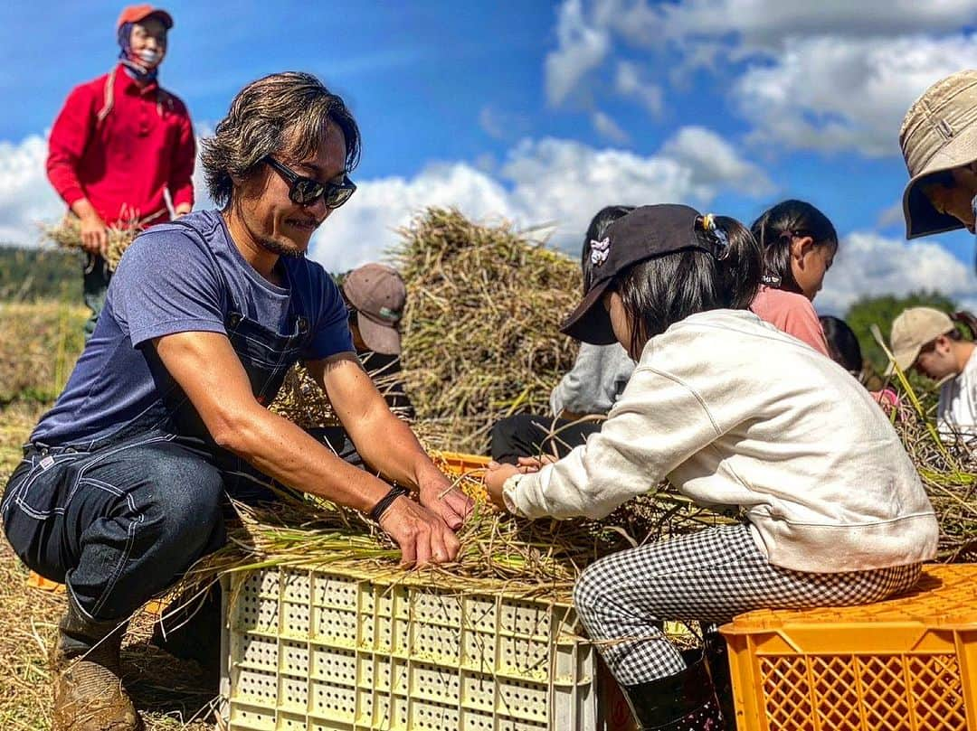 石川直宏さんのインスタグラム写真 - (石川直宏Instagram)「『NAO's FARM CUP 2023 Day 1』  2日間で行った【第1回NAO's FARM CUP 2023】  初日は午前中に稲刈り🌾 最高の気候の中行えました🤝  選手メンバーは 隼磨 #田中隼磨 泰成 #藤田泰成 家木 #家木大輔  田植えの際も一緒に行った #寺子屋TANQ の子どもたち、東京・埼玉・地元長野からも体験にお越しいただきました👏  有機農法なので雑草たちもいっぱいですが、見分けながら稲刈り。まとめてはぜ掛けをして天日で乾燥。  隼磨はサッカー同様、縦横無尽に躍動していました 笑  サポーターの方にお借りしたユニフォームを着て田んぼで写真撮影📸  午後は長野国際カントリークラブに移動し、隼磨・スタッフ・スポンサーの皆さんとゴルフコンペをハーフで⛳️🏌️‍♂️  飯縄山を正面にした打ち下ろしのコースは特に気持ち良かったな〜✨ 真っ直ぐ飛ばなかったけど 笑  夜は博之 #谷口博之 も合流して、いつもお世話になっている　　　ふじよし @ajidokoro.fujiyoshi  で懇親会🍻 ホテルに帰って2次会🥃 笑  初日から充実☺️  #NAOsFARM #NAOsFARM2023 #NAOsFARMCUP #NAOsFARMCUP2023 @mimizuya.nagano  #Iizuna #飯綱 #Nagano #長野 #稲刈り #はぜ掛け #天日干し #ゴルフコンペ #長野国際カントリークラブ  #NAOsFARM農場長 #NaohiroIshikawa #石川直宏」10月15日 8時37分 - sgss.18