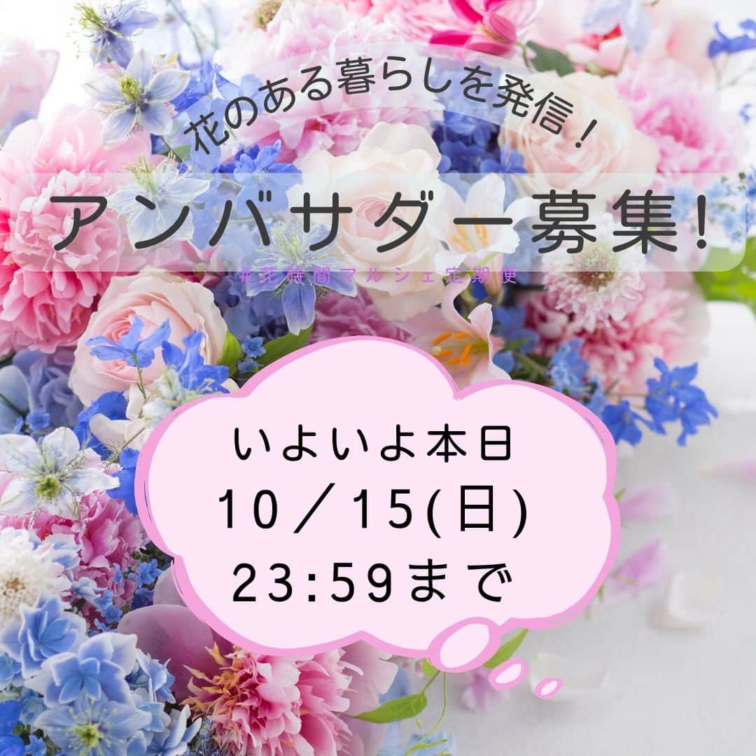 のインスタグラム：「いよいよ本日まで！  📢『花時間』公式アンバサダー第2期大募集！ いいね＆フォローで応募してね👍 花時間（@hanajikan_magazine）です。 『花時間』と一緒に、花のある暮らしを発信してくださる公式アンバサダーを募集致します！！  アンバサダーの方々には、10～3月までの間、『花時間』から本誌やポストカードなどをお届けします。  🔔ストーリーズでキャンペーン投稿をリポスト 🔔ハッシュタグは「#花時間公式アンバサダー募集」「#花時間2023」 🔔注意事項を確認し、この投稿にコメント で当選率ＵＰ！  ↓詳細はこちら↓ ＜アンバサダー就任期間＞ 2023年10月21日(土)～3月31日(日)  ＜公式アンバサダーのお仕事内容＞ ◎SNSで『花時間』本誌、カレンダーを紹介！ ◎期間中、冬号やお贈りしたポストカードを参考に花を飾った様子を、月にフィード2回、ストーリーズ3回以上、ご投稿ください。その際は必ず「 @hanajikan_magazine」をタグ付けしてください。※飾った花は同じものでも構いません。 ◎アンバサダー同士のフォローやシェア ◎期間中、2回、編集部との交流会に参加  🔳フィードやリール投稿 『花時間』の本誌、購入した花、アレンジをしている様子など。『花時間』と過ごす時間をご紹介ください。  🔳ストーリーズ 投稿と同じ内容やバージョン違いのアップでOK。  🔳指定ハッシュタグ(その他はご自身のハッシュタグで結構です) #花時間 #花時間2023 #花時間公式アンバサダー #花のある暮らし #お花のある暮らし  カレンダーの投稿の場合 #花時間カレンダー2024  ●投稿が確認できなかった場合は、翌月以降のプレゼントを打ち切らせていただく場合があります。  ●素敵な画像はDMでご提供いただき、こちらのアカウントや販促物等でご紹介させていただく場合があります。  ※応募は日本国内の方に限らせていただきます。  ＜定員＞ 20名  ＜応募方法＞ ① Instagramの『花時間』公式アカウント（@hanajikan_magazine） をフォロー。 ② 注意事項を確認し、このキャンペーン投稿に「いいね」して応募完了(^^♪  ＜応募期間＞ 2023年10月1日(日) ～ 10月15日(日)23:59  ＜当選発表＞ 当選者へのみ2023年10月18日、InstagramのDM（ダイレクトメッセージ）にて「@hanajikan_magazine」よりお知らせします。 ※あらかじめDMを受け取れるよう設定してください。 ※ご当選の場合、2023年10月24日14時までに賞品送付先を専用フォームにてご登録ください。  ＜リポスト方法＞ ① キャンペーン投稿の下にある紙飛行機マークをタップ ② 「ストーリーズに投稿を追加」を選択 ③ 投稿画面で『花時間』（@hanajikan_magazine）をタグ付け ④ 投稿！  ＜ご注意＞ ※ご了承のうえご応募ください。 ■本キャンペーンにご参加いただくことにより、本応募要項に同意いただいたものとみなします（未成年者については、保護者に同意いただいたものとみなします）。 ■応募にはInstagramへの登録（無料）が必要です。  ■以下の場合は、応募を受け付けることができません。 ・非公開アカウントの場合 ・当選発表以前に、公式アカウント（@hanajikan_magazine ）へのフォローやいいねを外した場合 ・第三者の権利を侵害する内容、及び公序良俗に反する内容など、株式会社KADOKAWA（以下、弊社といいます）で不適切と判断した内容が含まれる場合  ■投稿に際し発生する通信料・通話料などは、応募者ご本人のご負担となります。 ■カレンダーは10月下旬、『花時間2024冬』は12月下旬、花時間の本は2月下旬、ポストカードは毎月上旬の発送を予定しています。なお、発送先は日本国内に限ります。  ■事前連絡のない転居、送付先不明（誤登録）等で戻された場合、再発送には応じかねます。また、以降の発送を打ち切らせていただきます。  ■お送りした本、カレンダー、ポストカードを譲渡（転売、オークション出品含む）しないことが応募・当選の条件です。譲渡が明らかになった場合、当選は取り消され賞品をお返しいただくことがあります。 ■当キャンペーンは、弊社が主催しています。InstagramおよびMeta社とは関係ありません。 ■Instagramおよび関連ツールの動作等の不測の障害により、当キャンペーンを予告なく変更・中止させていただく場合があります。 ■応募に際しご提供いただいた個人情報は、弊社のプライバシーポリシー（https://www.kadokawa.co.jp/）の定めるところにより取り扱わせていただきます。 ■応募に際し応募者ご本人に生じた損害等につきましては、弊社に故意・重過失のある場合を除き、弊社は一切賠償の責を負わないものとします。  ⚠️DMでクレジットカード情報等の個人情報を求めることはありません。偽アカウントに対しては、通報やブロックのご対応をお願いいたします。  #キャンペーン企画 #キャンペーン開催中 #プレゼント企画 #アンバサダー募集」