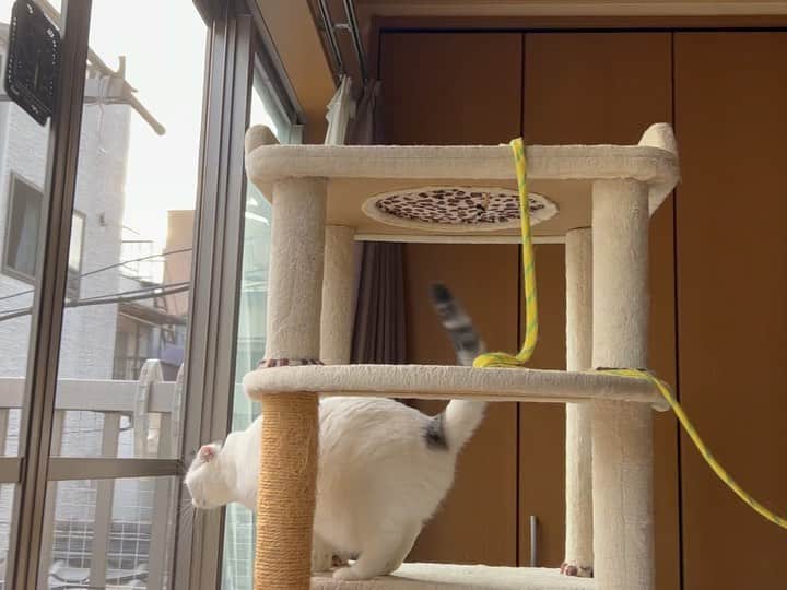 KAORUのインスタグラム