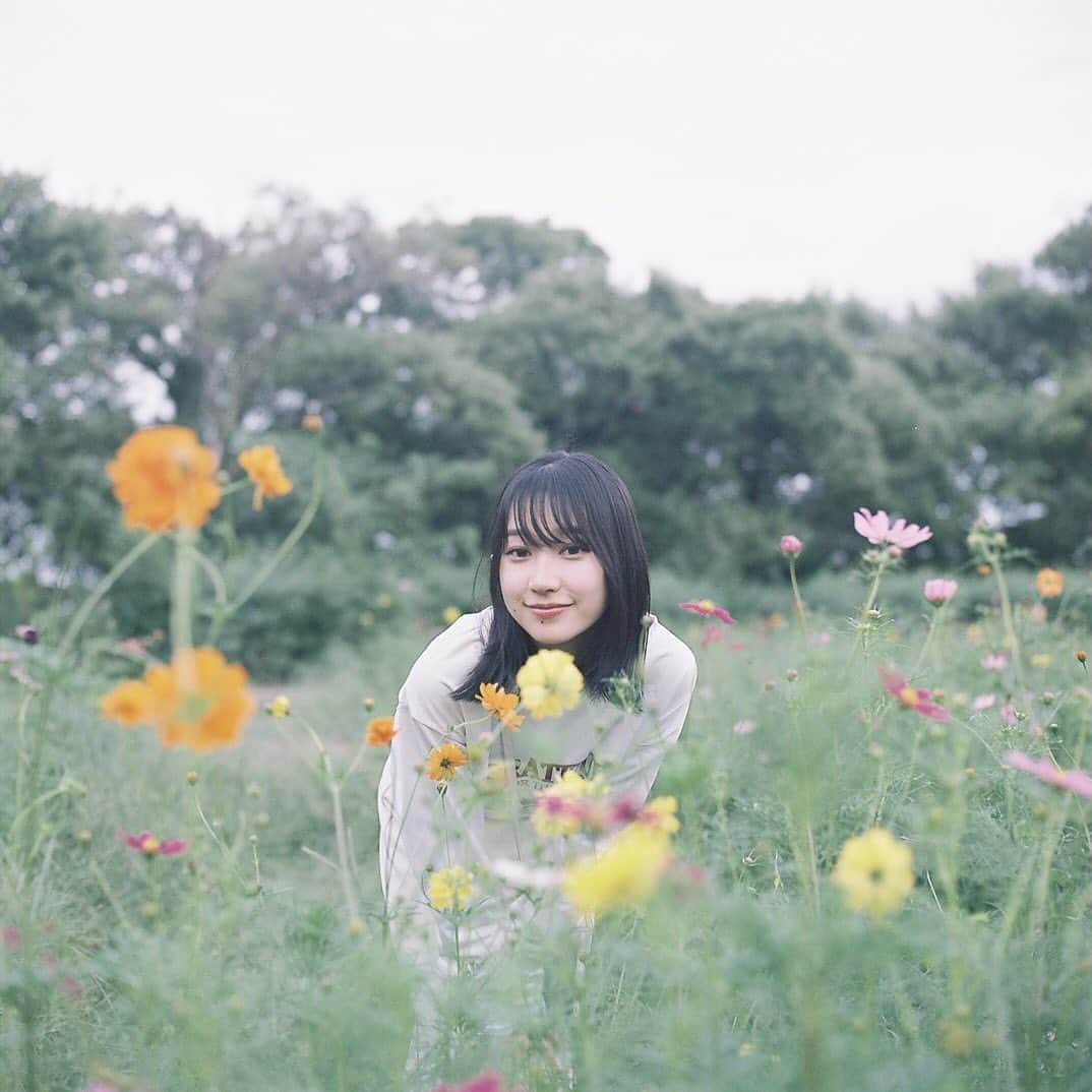 Masaさんのインスタグラム写真 - (MasaInstagram)「.  ▶︎▶︎▶︎ Swipe  All：HASSELBLAD Carl Zeiss CF Planar 80mm F2.8 T* #pro400h  この日はまだ蕾多め。 一昨日もまだ蕾は結構あったので、今週末も行けるかな。  今年はいいスポットが結構やっていないので、同じところを巡ることが多くなったな。  撮影日 : 2023年10月1日  #まっセル #ヤマプリ #hasselblad #ハッセルブラッド #中判フィルム #film #filmcamera #filmphotography #analogphotography #analogphoto #フィルム #フィルムカメラ #フィルム写真 #igersjp #portrait #ポートレート  #滋賀 #shiga #cosmos #コスモス」10月16日 7時30分 - masa_nikonist