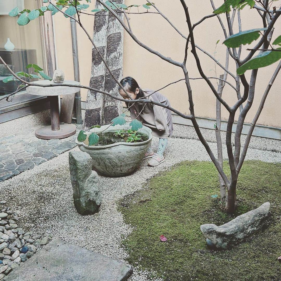 KIKIさんのインスタグラム写真 - (KIKIInstagram)「小田原のうつわ菜の花へ『華雪さんと黒田泰蔵さん 風と白磁』をみに行く  華雪さんの「風」という書が なぜか「山」に見えたり  先月一緒に山に登ったから？と聞くと 意識したわけではないけれど 関係あるかもとのこと しんどい登りとか 小屋での時間とか 早起きしてのぞんだ朝焼けとか そんなことが記憶に残ってくれていたのなら わたしとしてはうれしいかぎり  黒田さんの白磁とか菜の花のこととか 少し話を聞いていたこともあり なんだか懐かしい気分で見られた あとうつわ屋さんでの展示なので 子どもを連れていくのは緊張したけど ふたりとも良い子にしてくれてよかった 子どもって小さいながらに 「触ったらダメだよ」とか本気で注意すると聞いてくれるからえらいね  箱根にいたので旧道をくだって小田原へに出かけられたのも お上りさん気分に浸れた つぎは小田原城址をもっとゆっくり楽しみたいと思う（蕎麦屋とか珈琲屋とか 寄り道したいお店もいろいろあった）」10月15日 10時46分 - kiki_campagnepremiere
