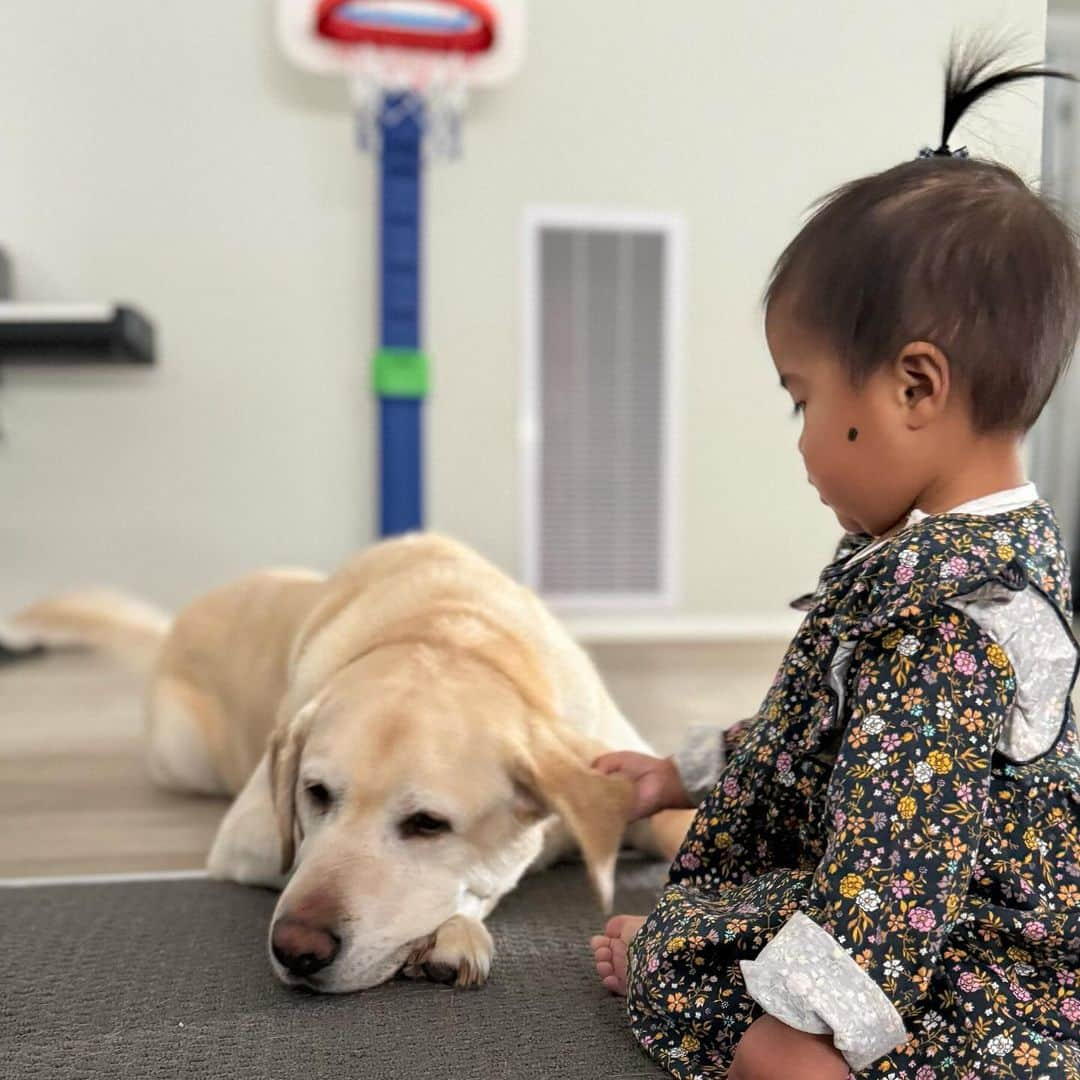 Rocky the Labのインスタグラム：「love from my sis ❤️   #labrador #girlandherpup #labsofinstagram #dogsofinstagram #labradorretriever #puppyatheart #littlesister」