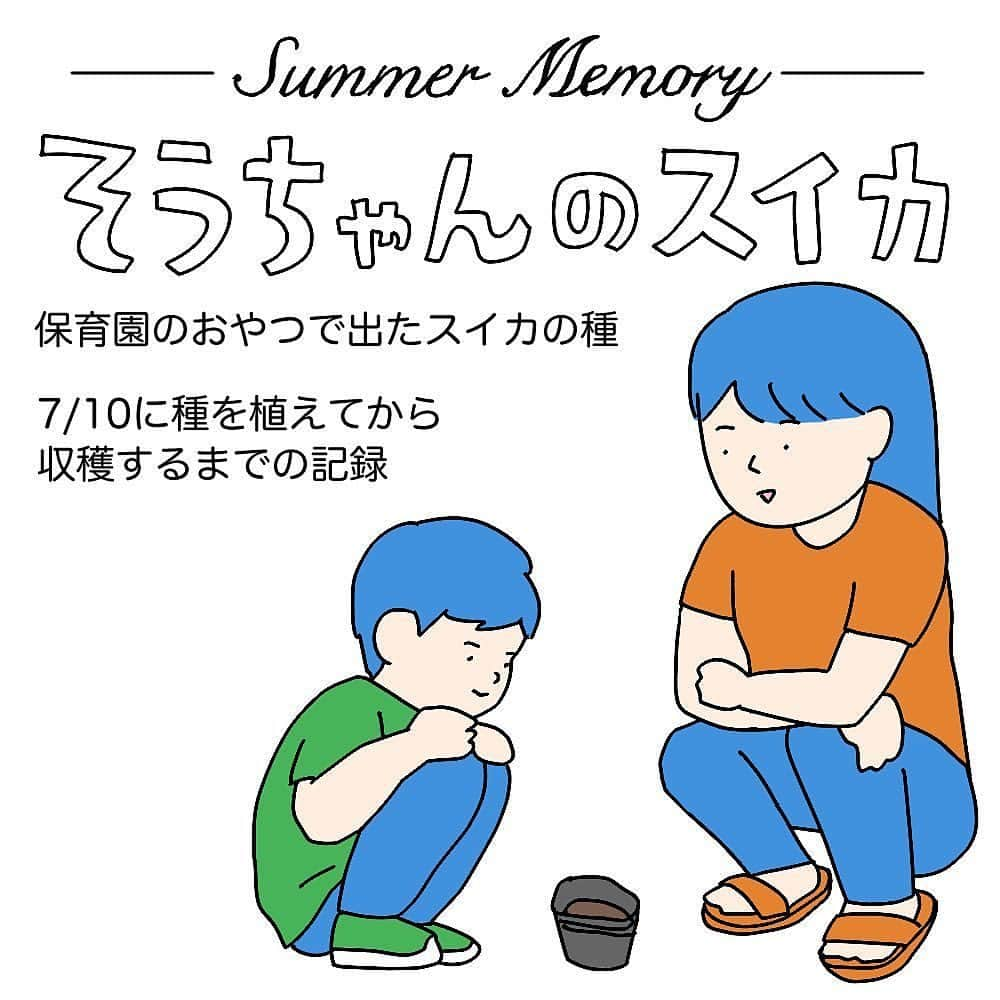 株式会社はぐくみプラスのインスタグラム：「@anonebaby ◀︎他のエピソード漫画もcheck👶🏼✨  本日の投稿は… @miho20141124 さまの子育て漫画エピソードを リポストさせていただきました😊♡  ／ 【後編】です！ ＼  前編をまだお読みでない方は、 お先にそちらからお読みください🍀  あの小さな種から、こんなに立派なスイカが 誕生するなんて...🍉✨素敵  ========================  スイカを育てた記録  スイカの葉っぱの形も、 雄花と雌花があることも、 雄花は雌花より多く咲くことも、 花は1日しか咲かないことも、 実が小さいうちから縞模様があることも、 そうちゃんのおかげで知ることができました。  そうちゃんのグー✊くらいの大きさでしたが、真っ赤で甘くておいしかったです。 夏の思い出をありがとう☺️  同じようにお子さんとスイカの種を植えて育てている方からメッセージたくさんいただけてうれしかったです🍉 みなさんのスイカはどうだったでしょうか？  #6歳 #年長 #育児マンガ #子どもと暮らす #子どもから学ぶ #スイカ栽培 #スイカと暮らす #そうちゃんのスイカ」