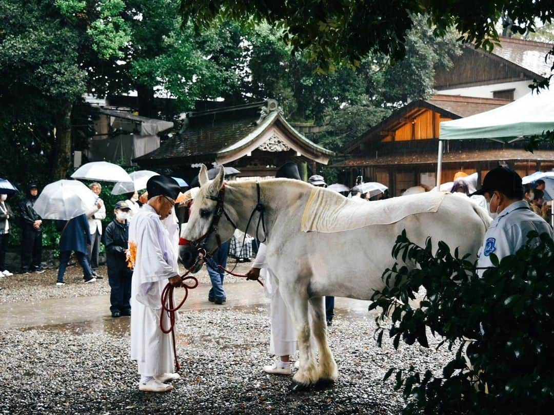 川越氷川神社さんのインスタグラム写真 - (川越氷川神社Instagram)「. 降り続く雨のため、本年の神幸祭は社殿で召し立ての儀を行う「お日待ち」となりました。  #川越氷川神社 #川越氷川祭 #神幸祭 #神社 #埼玉 #川越市 #川越 #kawagoe #kawagoehikawashrine」10月15日 11時42分 - kawagoe_hikawa