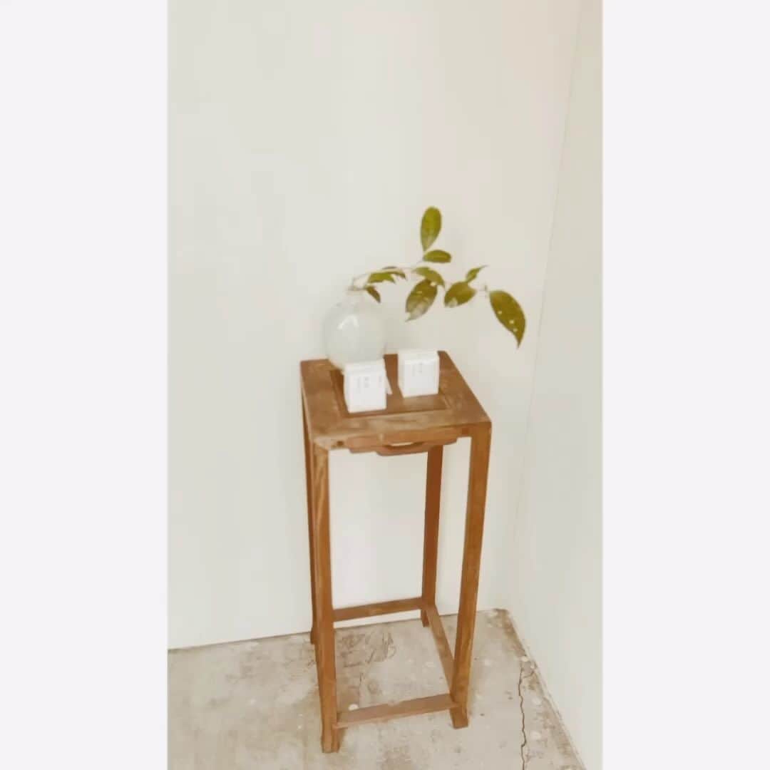 ハミルのインスタグラム：「. 【　富茶園、はじまりました　】  今年の新茶の季節にみんなでお邪魔した 静岡•天竜の山の奥、富茶園がある.  @tomichaen   車も上がりきらないどんつき、 清流の音と鳥の囀りしか聴こえない、 この美しい場所に代々、 富茶園さんのご家族が守ってる無農薬の茶畑がある.  今回、いつもお世話になってる、 浜松の名店•氷箱里の青島さんから ”はるみさん、飲んでみて”と特に細かい説明なく、 富茶園さんの茶葉が送られてきた時に、 彼の想いとメッセージを受け取った気がした. @bingxiangli_qingdao   この農園さんは規模が小さく、 まだ県外に出たこともなく、 静岡でもほぼ出回ってなかった富茶園の無農薬の茶葉、 飲んでみたら甘くて素直で優しいこの味が 富茶園さんの代々のお人柄と歴史を感じました。  そこから富茶園•内山さちさんとやり取りが始まり、 茶畑に中国茶の仲間たちも遊びに行き、 そのままお手伝いをすることになった.  ADに新保慶太さんと美沙子さんにお願いし、 パッケージはミクロの感覚から本当に美しく仕上がり、 ローンチ当日は数年茶の湯をされてる美沙子さんが 自ら茶葉を粉に挽き、うす茶を振る舞ってくださり、 @m_smbetsmb   私たちの中国茶の指導もしてくれてる逢茶の田中一代さんが 中国茶の立体的な淹れ方でこの煎茶を展開してくださり、 新たな煎茶の広がりを示してくださった. @chntea_housa   そして、この空間皓siroiの主宰で茶畑も 一緒に行ったフラワースタイリストの平井かずみが 富茶園さんの畑で採取した植物や野放の茶木で 空間を作ってくださり、 会は美しい時間と空間となりました。 @hiraikazumi  @siroi___   ご来場くださいましたたくさんの方々、 お茶会にご参加下さった方々、 たくさんご協力いただいた新保さん、かずみちゃん、 ありがとうございました！  そして、富茶園の内山さちさん、 お手伝いくださった元教師でもあり、 応援してくれてるおじさまや 岐阜からお手伝いにきてくれたデザイナーのめぐみちゃん、 遠くからの運転と搬入、まずはお疲れ様でした！  ご購入、通販、お取引のお問合せは富茶園まで。 @tomichaen」