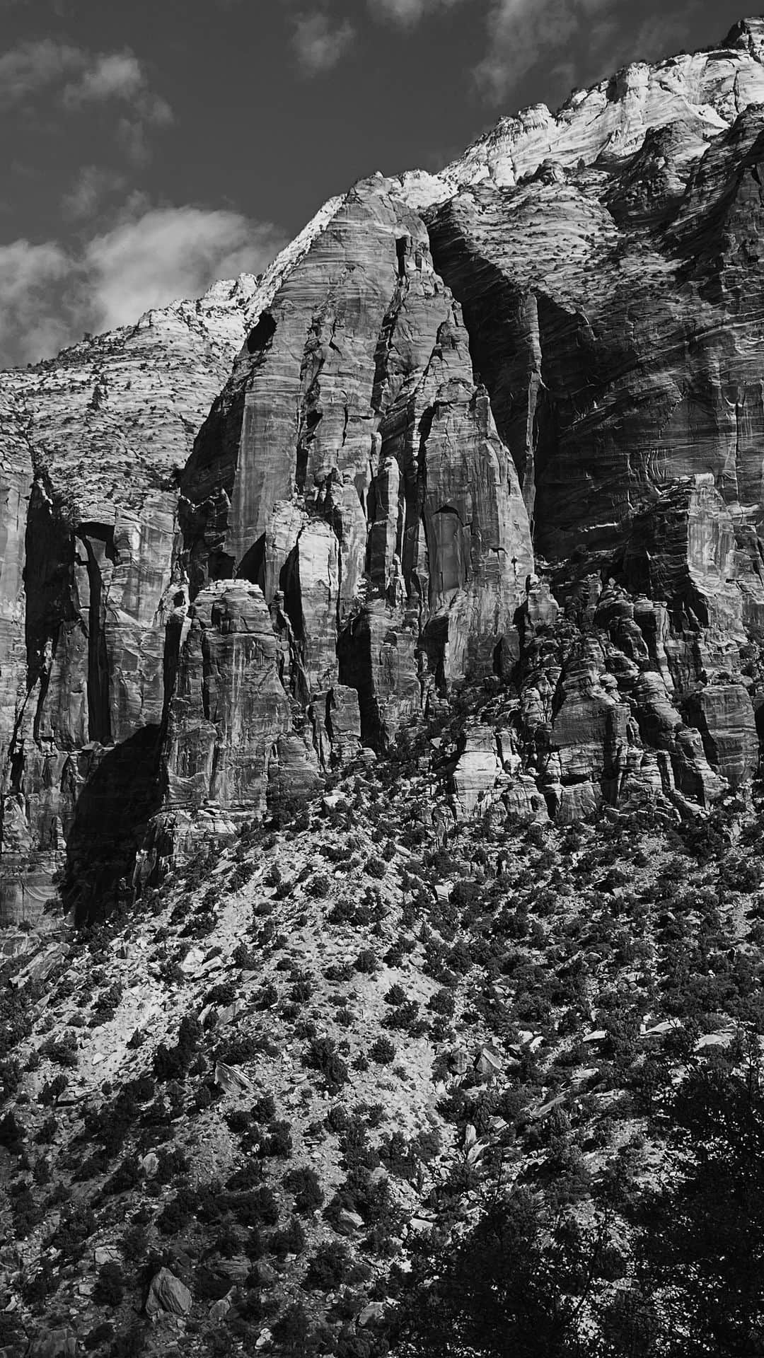 ローラのインスタグラム：「Zion National Park in Utah🏜️  カリフォルニアから車で約6時間走った場所にあるザイオン国立公園にドライブをしたよ❗️まるで赤い岩の天国に来たようなすごい迫力のある場所だったよ❗️🥹 ザイオンはヘブライ語で「避難所」「神の国」と言う意味なんだって。 さまざまな所にトレイルやハイキングができるところがあるから、この美しい景色と共に歩くのとってもきもちいよ☺️⛰️🌱」