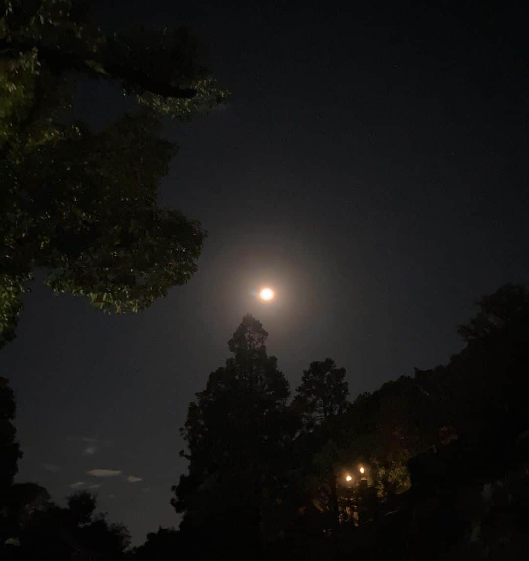 KOOさんのインスタグラム写真 - (KOOInstagram)「暗いうちから活動してます」10月30日 6時58分 - koojazz