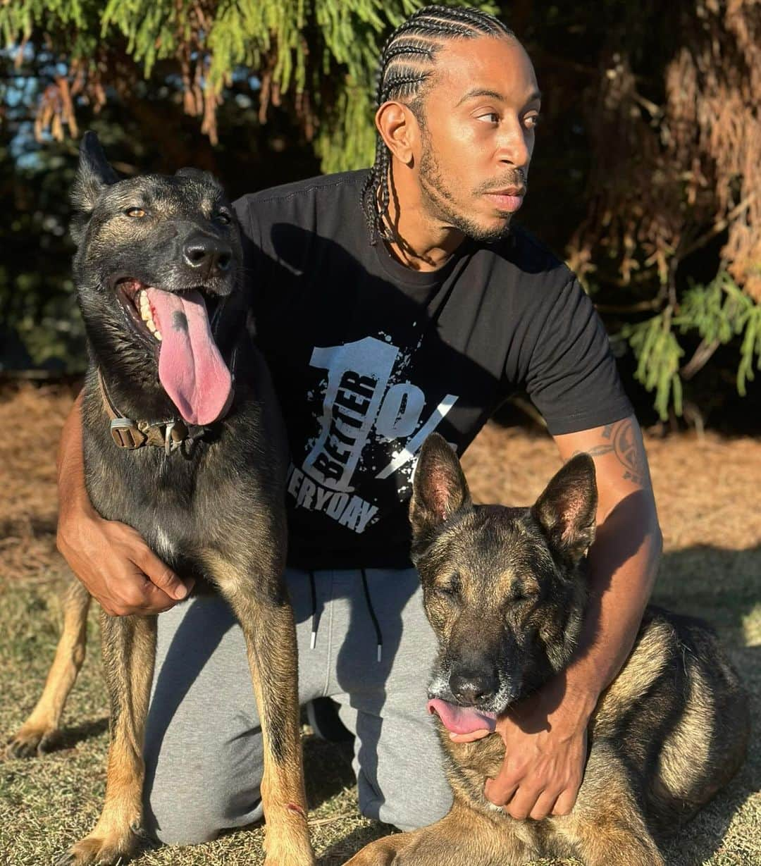 リュダクリスさんのインスタグラム写真 - (リュダクリスInstagram)「How It Started Vs How It’s Going 🐕 🐕  #blegianmalinois #sundaze」10月30日 6時58分 - ludacris