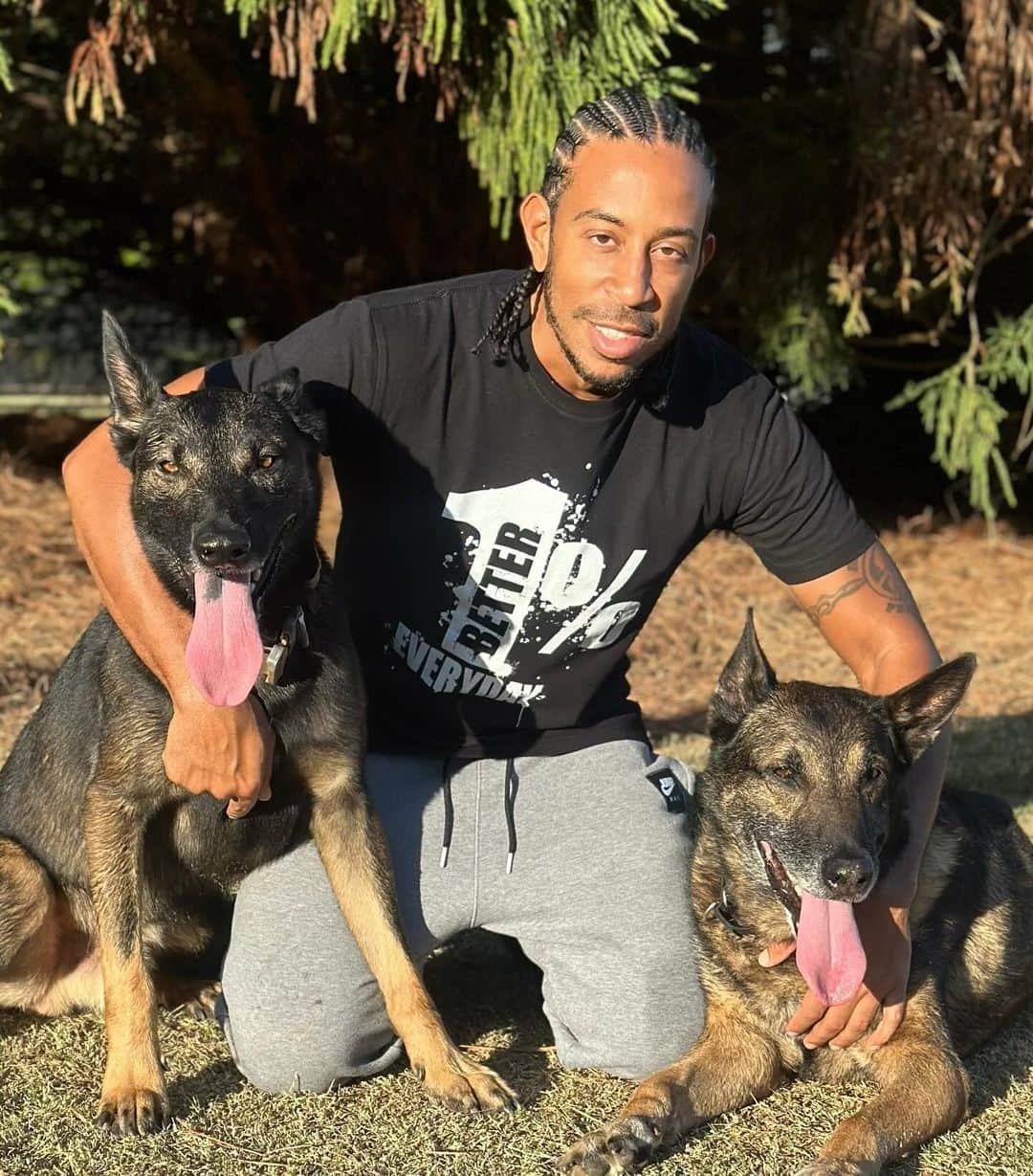 リュダクリスさんのインスタグラム写真 - (リュダクリスInstagram)「How It Started Vs How It’s Going 🐕 🐕  #blegianmalinois #sundaze」10月30日 6時58分 - ludacris