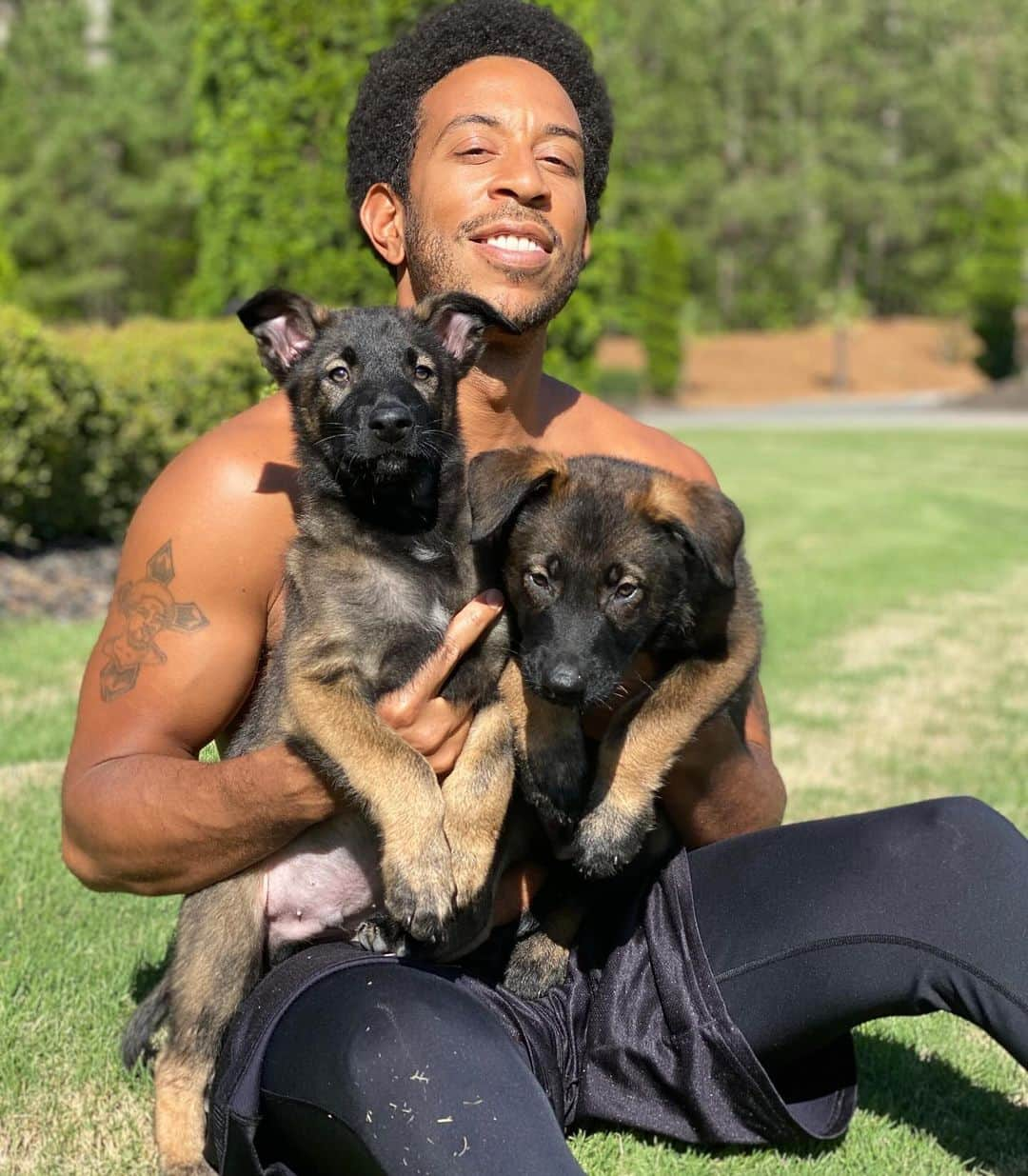 リュダクリスさんのインスタグラム写真 - (リュダクリスInstagram)「How It Started Vs How It’s Going 🐕 🐕  #blegianmalinois #sundaze」10月30日 6時58分 - ludacris