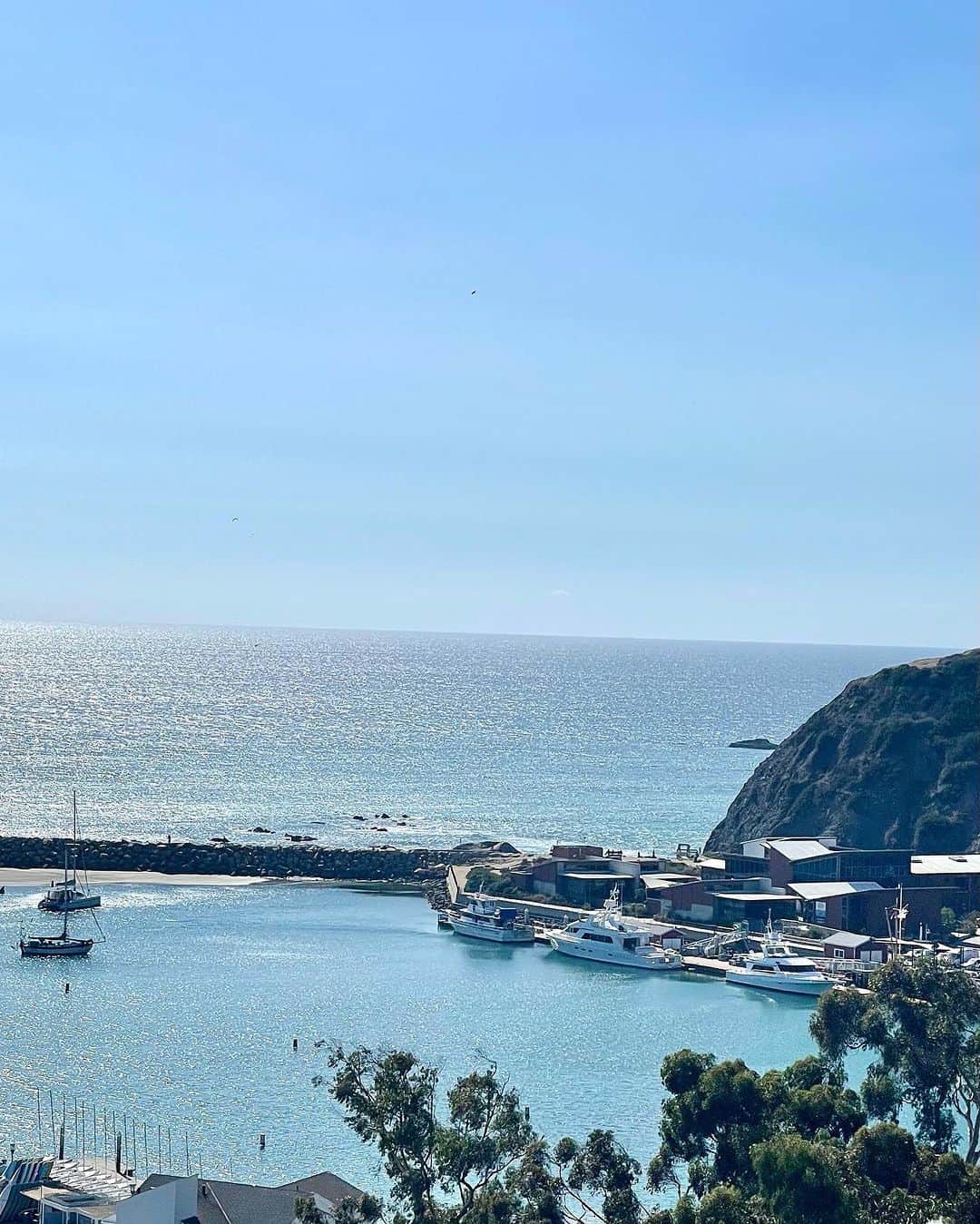北紺守彦さんのインスタグラム写真 - (北紺守彦Instagram)「⛵️Dana pointはオシャレな店がいっぱい  ここのアボガドトーストが大好きだなぁ😊 @MAISON cafe ＋market 美味しいよ🍞  テラス席が気持ちいいね 風が気持ちいい 太陽が気持ちいい  よく 夫婦でランチに来ます👫  🏄サンクラメンテの街も 好きだなぁ  味わい深い街 カッコいい街 古きよきアメリカが残ってる感じで まさにサーフシティーだね  今日は👨‍👩‍👧家族でランチ来ました @BRUSSELS- BISTRO 週末は よく来ます  ここの ムール貝が美味しい！ 昼間から白ワインと最高でした  まだまだ 行きたい場所がいっぱいです🤗  #dana  #point  #danapoint  #ムール貝  #白ワイン  #シャルドネ  #surfcity」10月30日 6時59分 - morihiko.kitakon