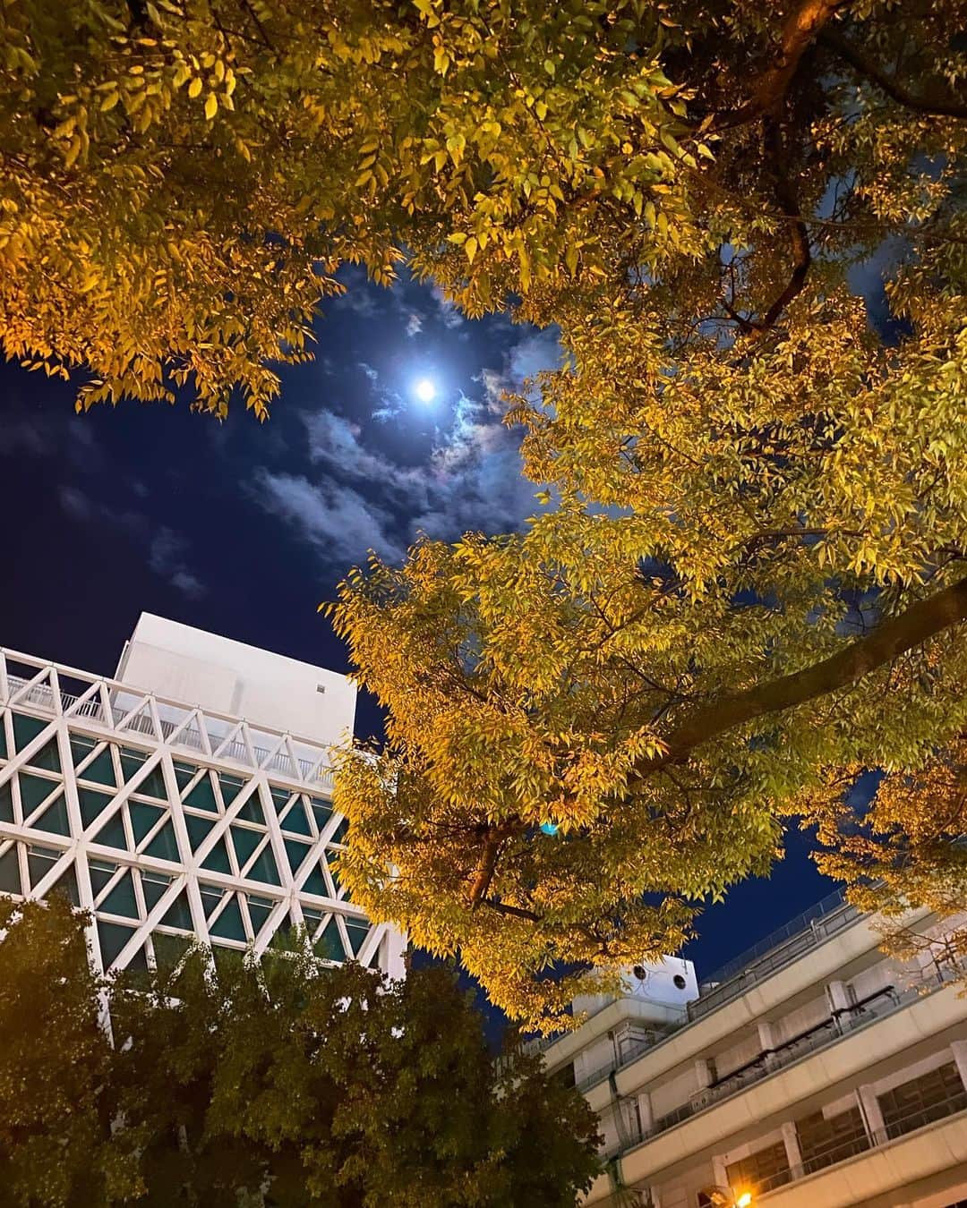 西川忠志さんのインスタグラム写真 - (西川忠志Instagram)「今夜の月  YES theaterの２日間３作品５公演。 総て幕が降りました。  ご来場頂きました総てのお客様 ご観劇、本当にありがとうございました🙇‍♂️  地下鉄降りまして見上げた夜空には 明るい満月と木星が・・・あってるかな😅  なんか自分では癒される写真です。  感謝 西川忠志」10月29日 22時35分 - nishikawa_tada
