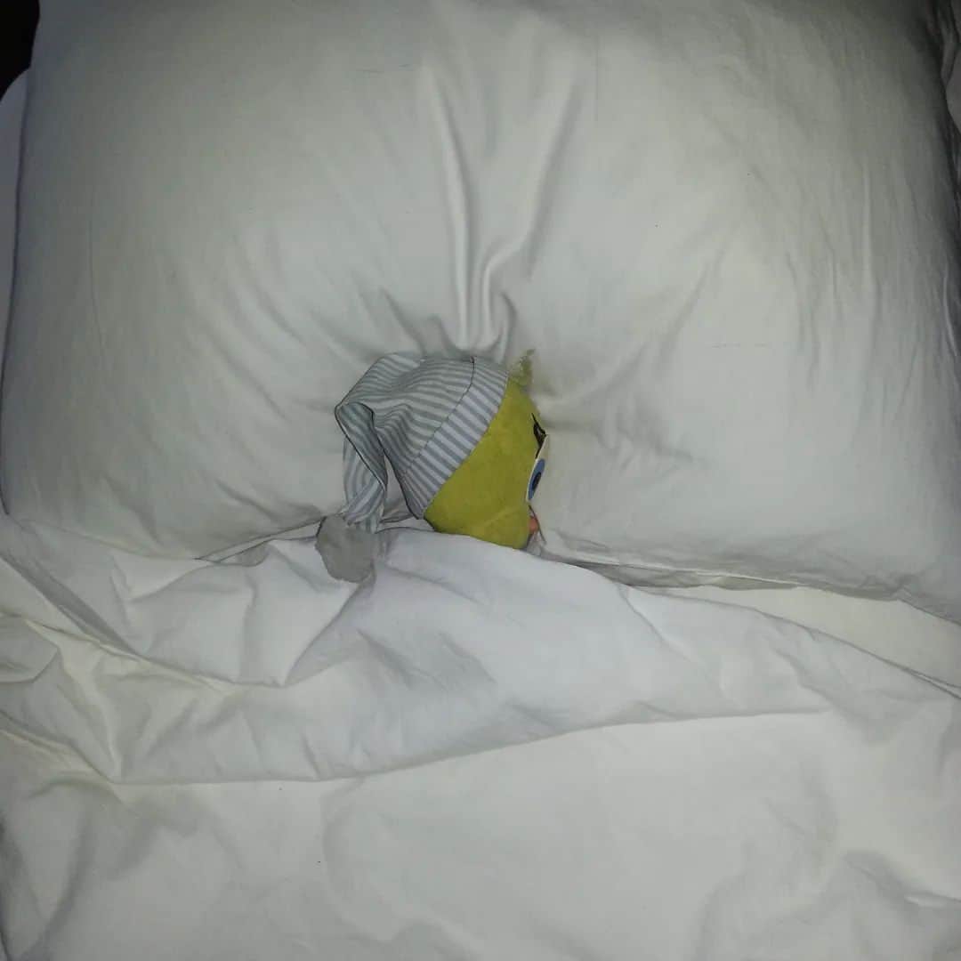 Little Yellow Birdのインスタグラム：「I had to take it easy for a couple of days: migraine... #littleyellowbird #tweety #tweetykweelapis #adventures #yellow #bird #migraine #takingiteasy #stayinginbed #sick #hurting #ouch #notfeelingwell #stuffedanimalsofinstagram #plushiesofinstagram」