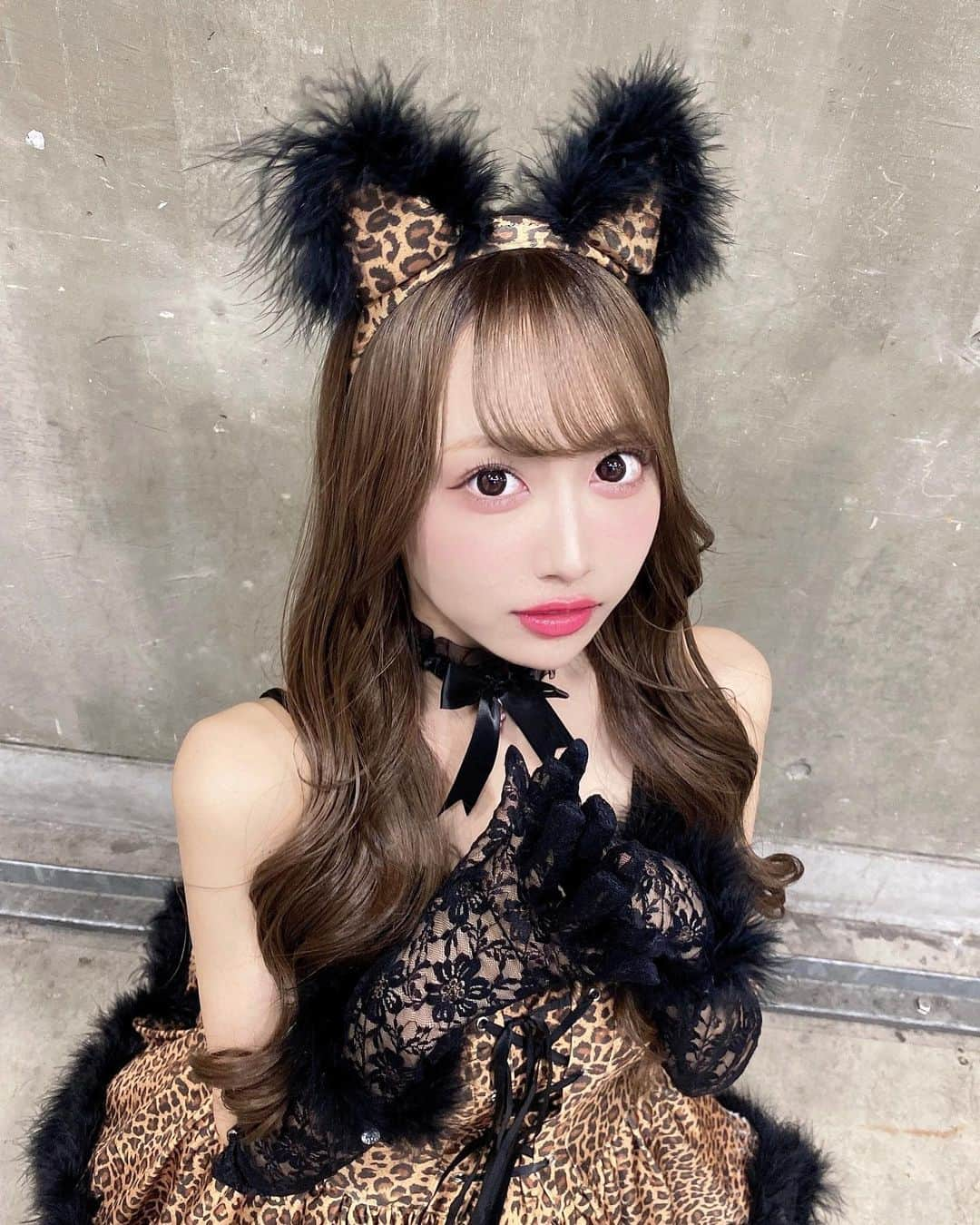 野村実代さんのインスタグラム写真 - (野村実代Instagram)「今年のハロウィンは''女豹''🐅♡ ⁡ ⁡ ⁡ ⁡ #SKE48#アイドル#idol #衣装#コスプレ#猫 #ハロウィン#halloween#ハロウィンコスプレ#03#fyp」10月29日 22時34分 - miyomaruko_0201