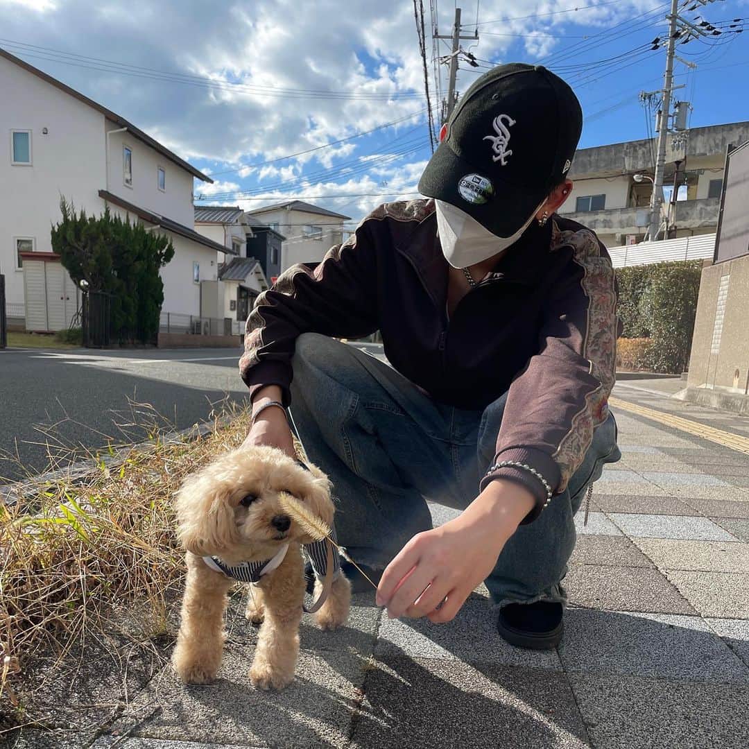 のインスタグラム：「とあちゃんの愛犬とやっと一緒にお散歩いったー！🥺🥺  お散歩したというより僕がお散歩されてました🙃  夜中寒くて俺のジャケットの中に入れて抱っこしたげてたかわいい😍  なんでそんなにかわいいのーー、、、  今日めっちゃ月綺麗でとあちゃんが撮ってくれた！  また散歩行こうね。LUCK（ラック）しゃん🖐🏻  #今日好き#芝田祥伍#お散歩#わんちゃん#犬 #とあの愛犬とお散歩#かわいい#kawaii」