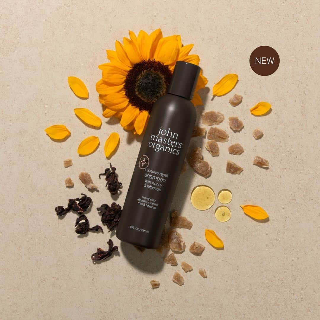 John Masters Organicsのインスタグラム：「Our Intensive Repair Shampoo with Honey and Hibiscus is BACK and better than before!🌻⁠ ⁠ This revitalized formula is packed with Organic Honey and Organic Hibiscus to help cleanse strands and attract and lock in moisture, while strengthening the hair follicle and protecting the root from future damage. ⁠🍯🌺⁠ ⁠ Suitable for all hair types.⁠ ⁠ Now available in an 8oz size on www.johnmasters.com! 🤎」