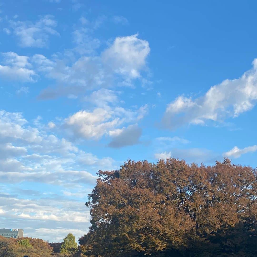 名和風歌さんのインスタグラム写真 - (名和風歌Instagram)「🛸 最高な天気でピクニックしたよ ずっとこの気候だったらいいのにー」10月29日 23時03分 - fuuka_nw