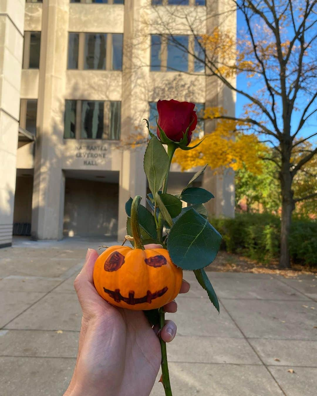 葉晟睿さんのインスタグラム写真 - (葉晟睿Instagram)「🎃 Cutest pumpkin in the patch 🪓👻 #jackspumpkinpopup #kalvintravel🇺🇸」10月29日 23時17分 - kalvin.yeh