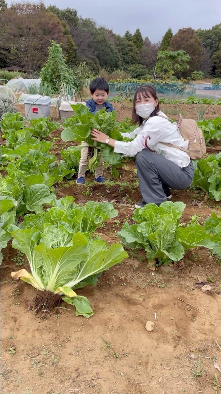 星野涼子のインスタグラム