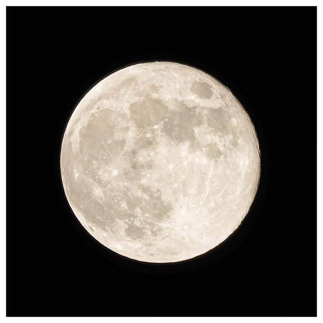 さだまさしさんのインスタグラム写真 - (さだまさしInstagram)「１０月の満月🌕 ハンターズムーン ２枚目は木星発見❣️ . #満月 #ハンターズムーン #木星 #さだまさし #sadamasashi」10月29日 23時25分 - sada_masashi