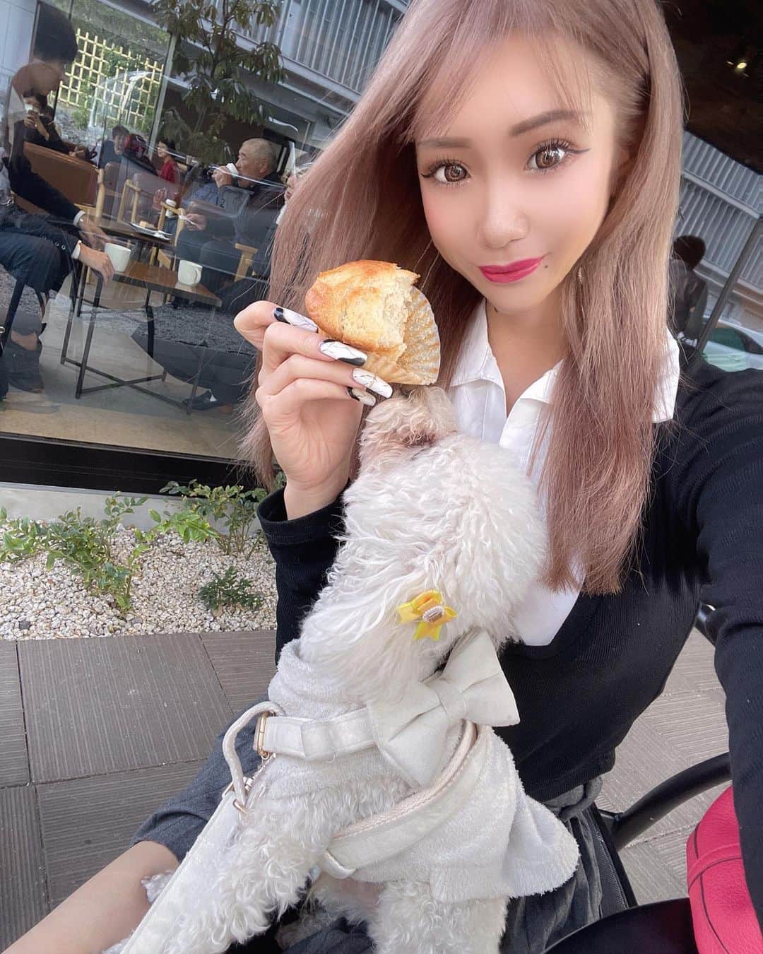 RIIAのグルメインスタ