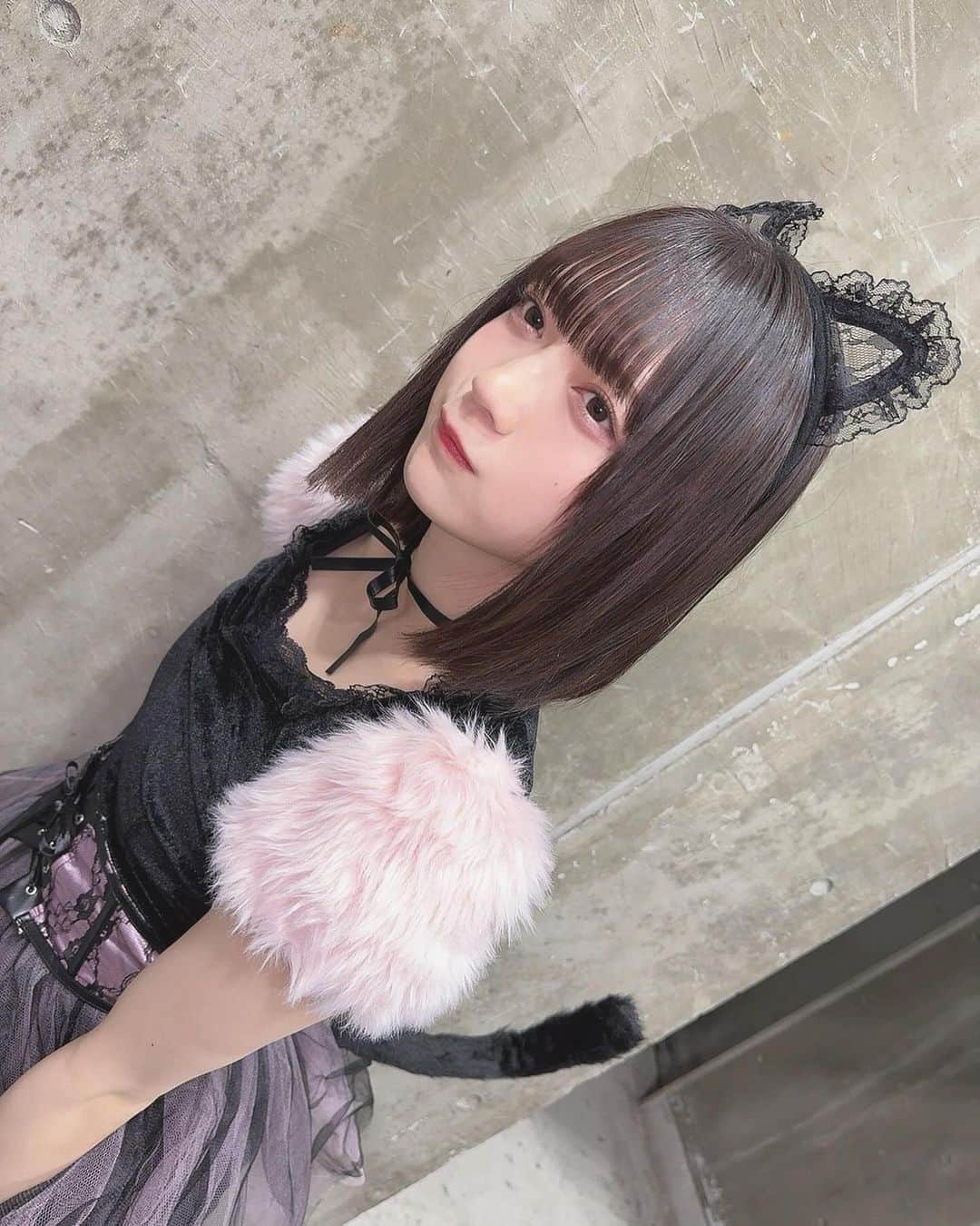 坂本真凛さんのインスタグラム写真 - (坂本真凛Instagram)「にゃん🐾 #halloween #cosplay #idol #ハロウィン #猫コスプレ #偶像 #ボブ #ボブヘアアレンジ #02」10月29日 23時34分 - marin_ske48