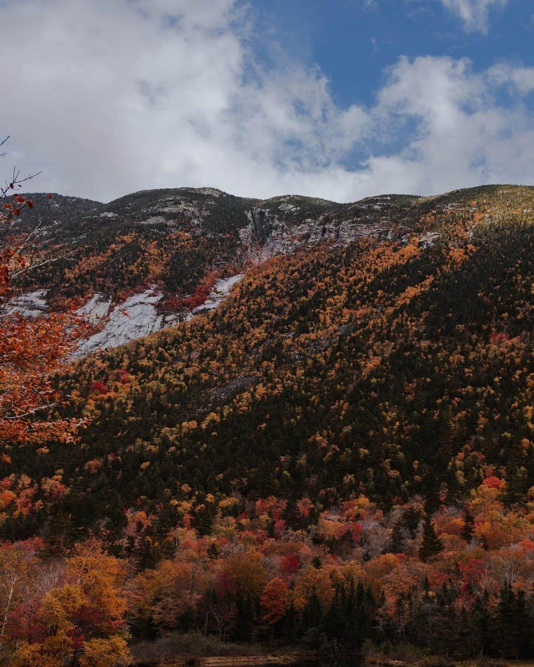 Visit The USAさんのインスタグラム写真 - (Visit The USAInstagram)「Explore a new hobby in New England: leaf peeping. 🍂  Chase the stunning colors of fall and taste its flavors by putting these prime spots on your map: 📍White Mountains, New Hampshire: drive along the scenic Kancamagus Highway or hike the Falling Waters trail. 📍Green Mountains, Vermont: climb Stratton Mountain and stop at Quechee Gorge for sweeping views. 📍Cape Cod, Massachusetts: stroll through the Cape Cod Rail Trail. 📍Litchfield Hills, Connecticut: make it a road trip and drive along Route 7. 📍Burlington, Connecticut: stop by the popular Hogan’s Cider Mill for seasonal treats and the signature apple cider.   Mention a friend who’d love a fall getaway in the USA!   📸: @heleneinbetween  #VisitTheUSA #NewEnglandFall #FallinNewEngland #AutumnColors #GetOutside」10月29日 23時40分 - visittheusa