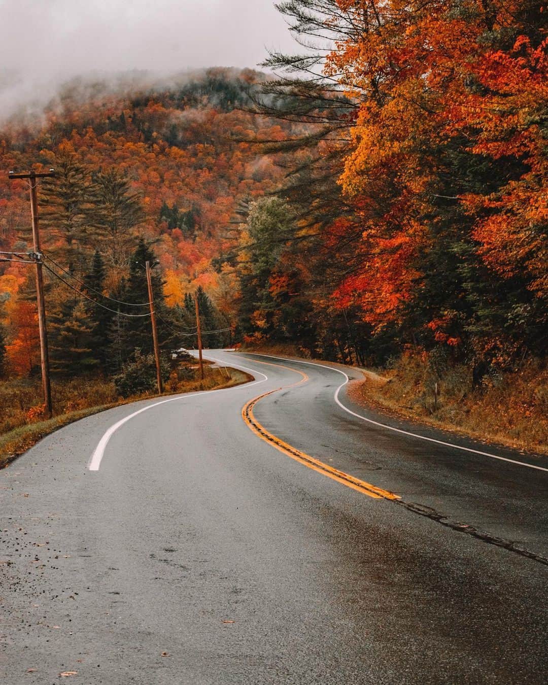 Visit The USAさんのインスタグラム写真 - (Visit The USAInstagram)「Explore a new hobby in New England: leaf peeping. 🍂  Chase the stunning colors of fall and taste its flavors by putting these prime spots on your map: 📍White Mountains, New Hampshire: drive along the scenic Kancamagus Highway or hike the Falling Waters trail. 📍Green Mountains, Vermont: climb Stratton Mountain and stop at Quechee Gorge for sweeping views. 📍Cape Cod, Massachusetts: stroll through the Cape Cod Rail Trail. 📍Litchfield Hills, Connecticut: make it a road trip and drive along Route 7. 📍Burlington, Connecticut: stop by the popular Hogan’s Cider Mill for seasonal treats and the signature apple cider.   Mention a friend who’d love a fall getaway in the USA!   📸: @heleneinbetween  #VisitTheUSA #NewEnglandFall #FallinNewEngland #AutumnColors #GetOutside」10月29日 23時40分 - visittheusa