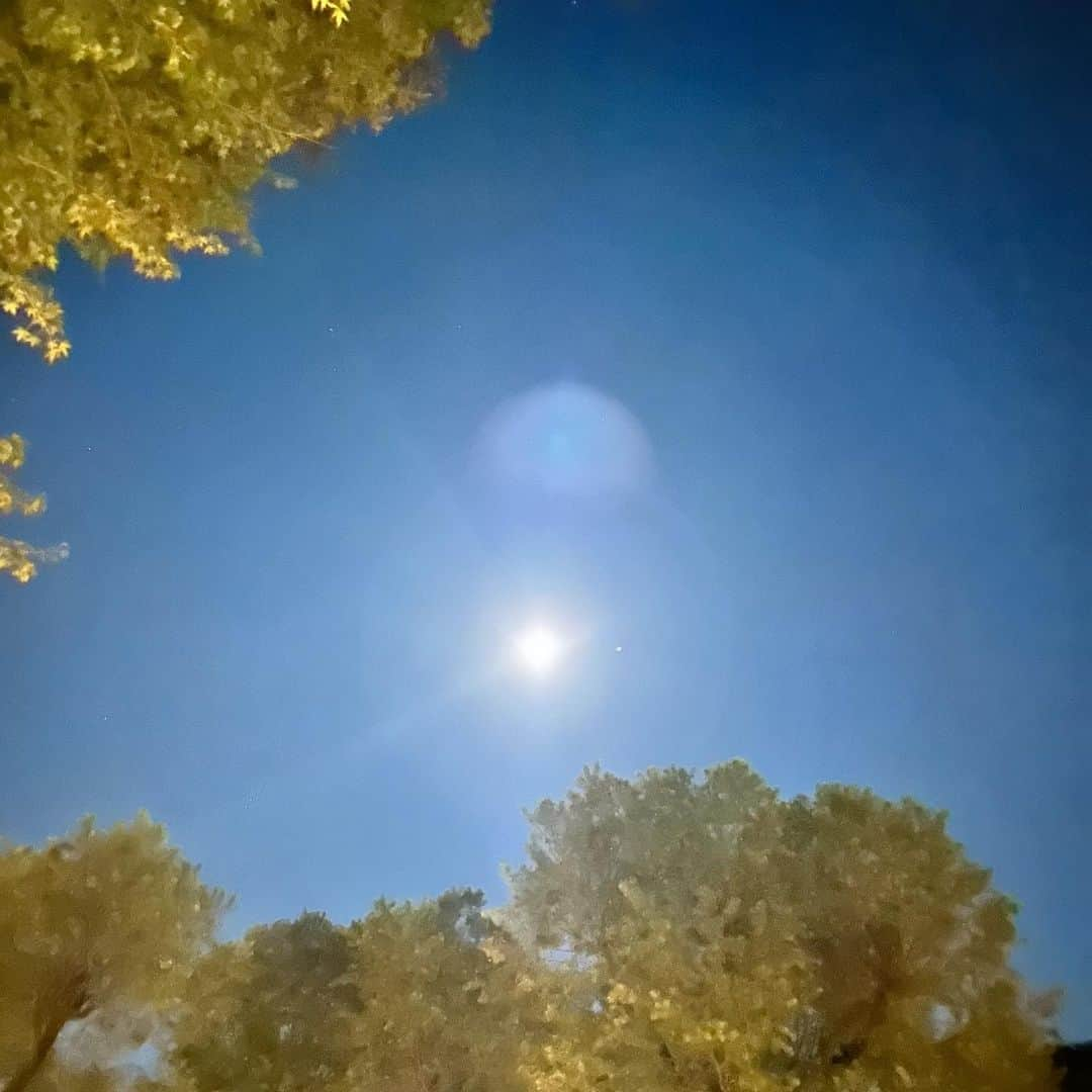 純名里沙のインスタグラム：「今日の満月🌕✨ 秋は月が綺麗で見事ですよね！  一昨日の十三夜は、栗の形に似ていて、栗月といわれているそうな、、🌰大好物♡  さて、息つく暇なくやること満載の日々ですが、今日は満月を見上げる気持ちになれてよかった。。✨  前にも書きましたが、満月、新月は身体を労ってあげてくださいね🍀  季節の変わり目、どうぞ暖かくしてお過ごしください♡  #純名里沙 #risajunna #うたがたり #月と散歩 #作詞してますねん^ - ^ #笹子重治さん #作曲 #色っぽいチェロは #柏木広樹さん #好きなナンバーです#おやすみなさいませ🌙」