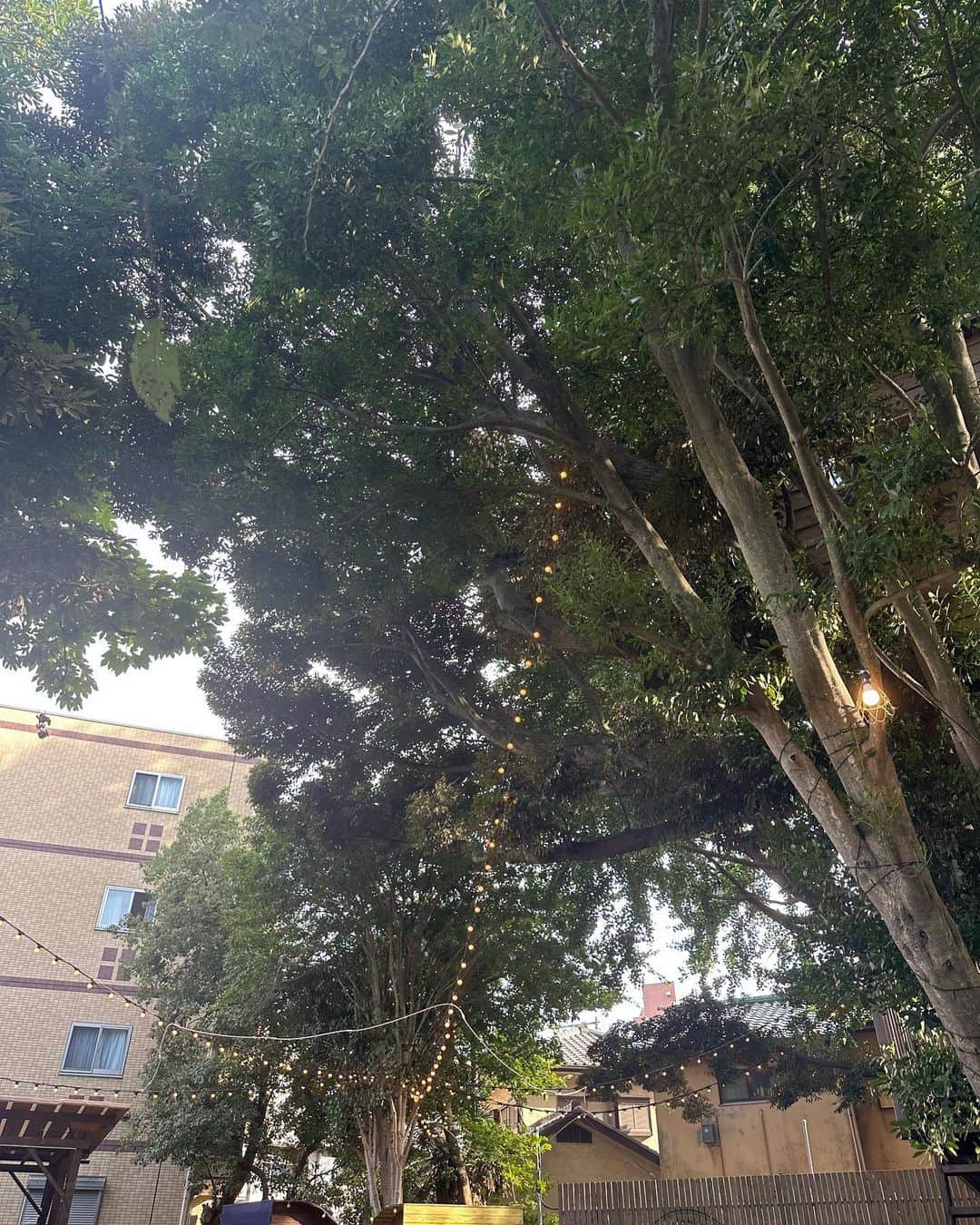 高野桃子さんのインスタグラム写真 - (高野桃子Instagram)「なにその動きは！！  って言われながら🍃笑　ゆる〜い公園お散歩DAY まだそよそよ風が気持ちよかった9月のです 鼻水かみすぎて鼻赤い」10月30日 1時04分 - takano_sd