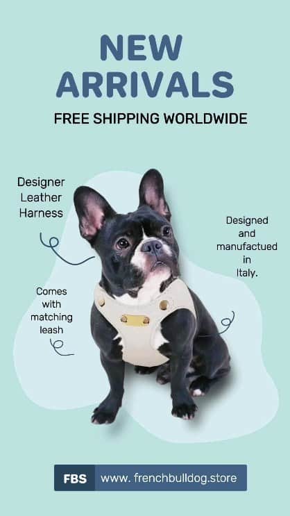French Bulldogのインスタグラム：「🐾💕 NEW ARRIVALS 💕🐾  Check Out What's New In frenchbulldog.store 🛍🛒  . . . . .  #frenchie #frenchieoftheday #französischebulldogge #franskbulldog #frenchbulldog #frenchies1 #frenchiepuppy #dog #dogsofinstagram #bulldog #bulldogfrances #フレンチブルドッグ #フレンチブルドッグ #フレブル #frenchbulldogsofinstagram #batpig #buhi #buhigram #buhistagram」
