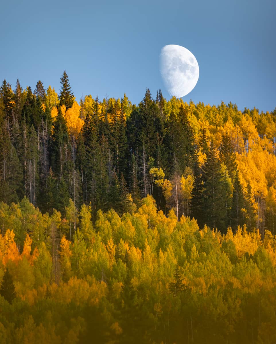 National Geographic Travelのインスタグラム：「Photo by @emilypolar | A waxing moon rises above a forested valley of changing aspens in Eagle County, Colorado.   To see more landscapes from east to west, follow me @emilypolar.」