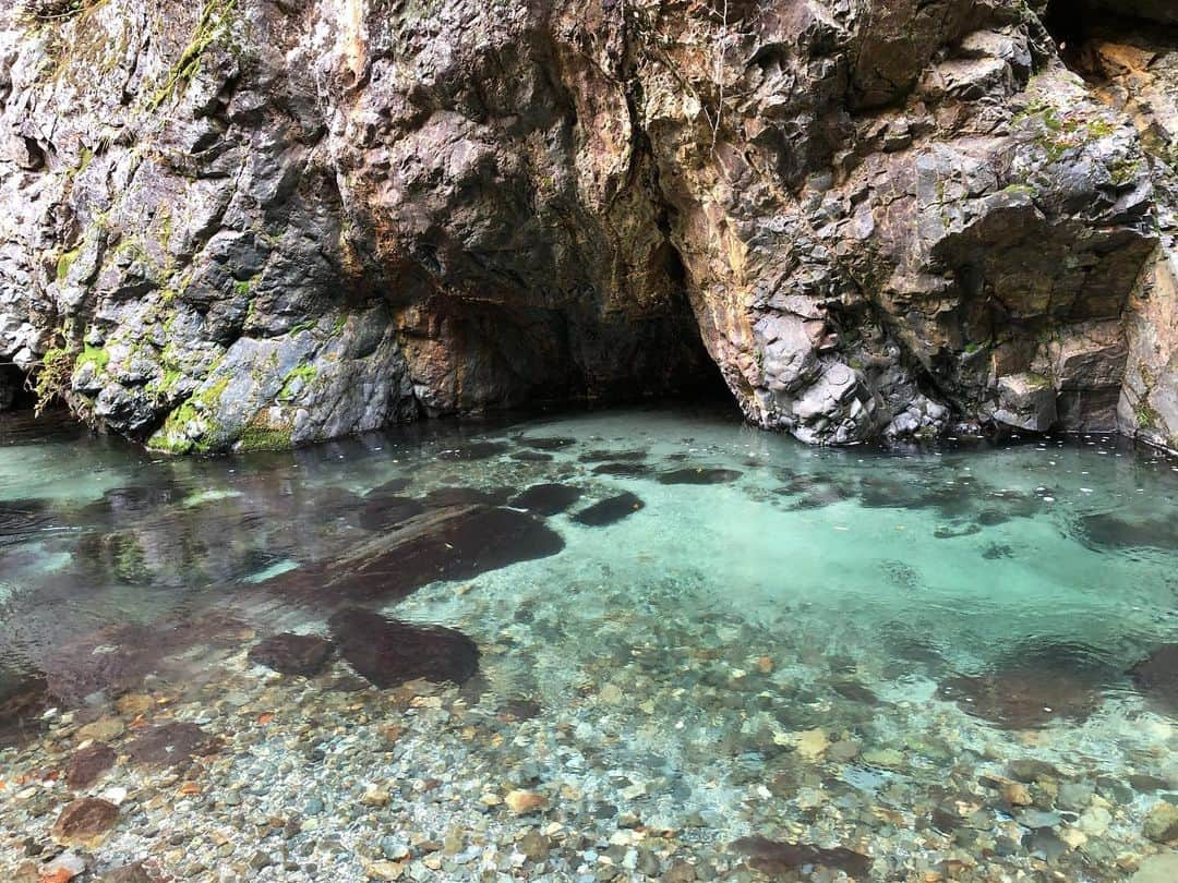 浜崎貴司さんのインスタグラム写真 - (浜崎貴司Instagram)「水源の森キャンプ・ランドには川にサウナもあって、美しい川に飛び込めるそうです。  ここの水は横浜の水の源なんだそうな！  #水源の森キャンプランド  #サウナ #川サウナ  @anarchomountaineers009 @suigen_no_mori_rental @campcrew_official」10月30日 7時38分 - hamazakitakashi_official