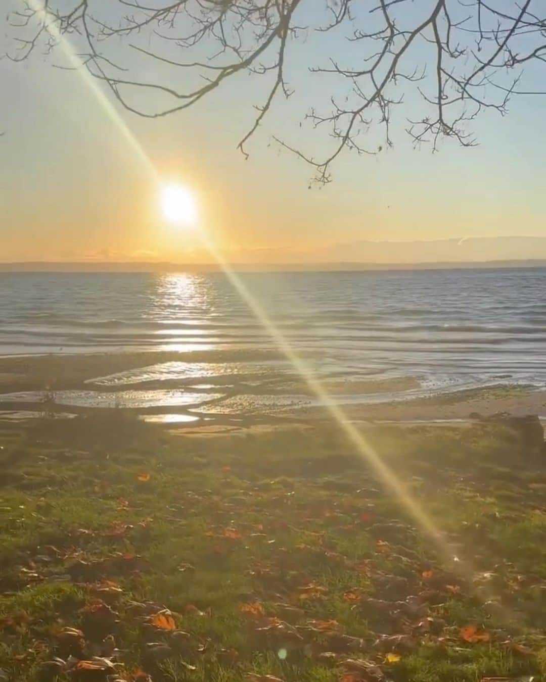 のインスタグラム：「おはよっ♡ Hawaiiも秋🍂だ」