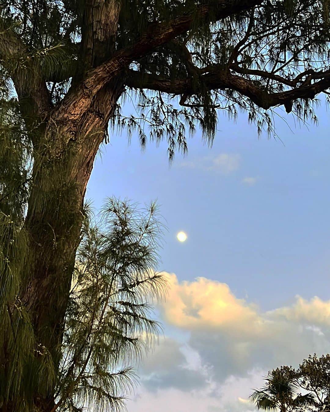 梨花 さんのインスタグラム写真 - (梨花 Instagram)「満月🌕綺麗だったー」10月30日 3時45分 - rinchan521