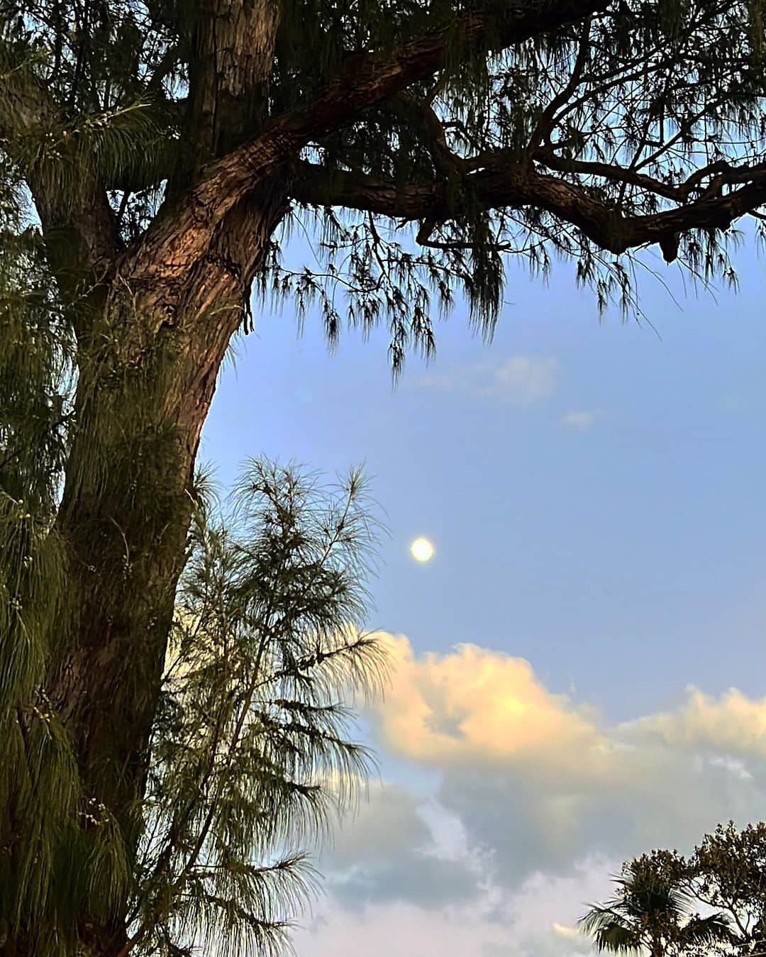 のインスタグラム：「満月🌕綺麗だったー」