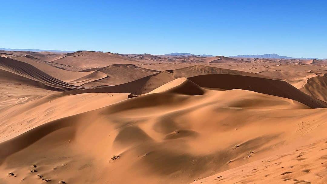 榎戸教子さんのインスタグラム写真 - (榎戸教子Instagram)「【ナミビア】 地球を感じられる場所、ナミブ砂漠。 乾燥は世界一。 これまで訪ねた場所のなかで、 いちばん乾燥を感じたところです。  世界最古の砂漠、ナミブ砂漠。 その最奥部ソススフレイにある 砂山Big Daddy Dune（ビッグ・ダディ・デューン）。 1時間かけて上まで登り、 走って降りてきました。  しばらく過去の投稿が続きます。  #namibia #namibdesert #trip #africa #worldtraveler #worldheritage #世界遺産 #ナミビア #砂漠 #dune #bigdaddy」10月30日 4時07分 - noriko_enokido