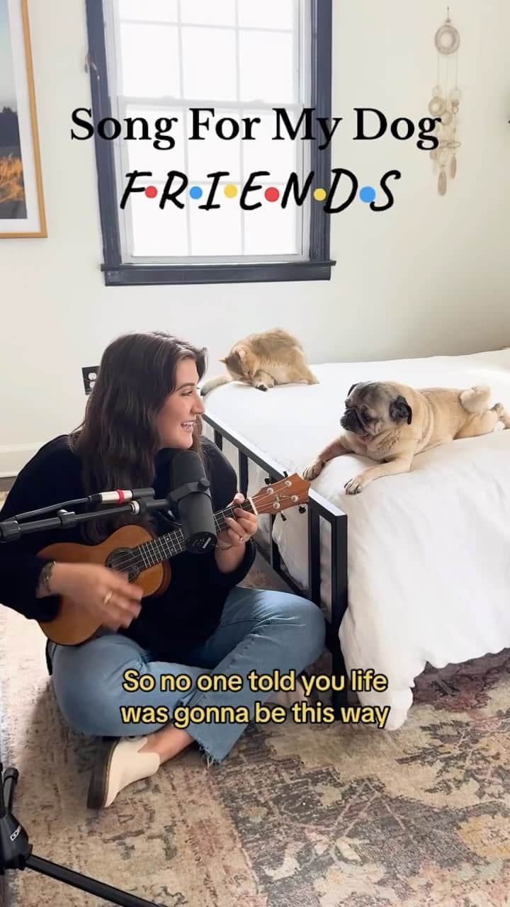 itsdougthepugのインスタグラム：「I’ll Be There For You. A tribute to Matthew Perry, may he rest in peace. ❤️🕊️  #friends @friends #matthewperry #illbethereforyou #acousticcover #dogsofinstagram」