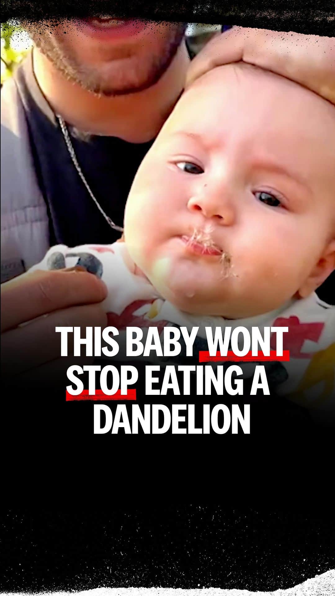 ロブ・ディアデックのインスタグラム：「No one is stopping this baby from eating a dandelion.   #ridiculousness」