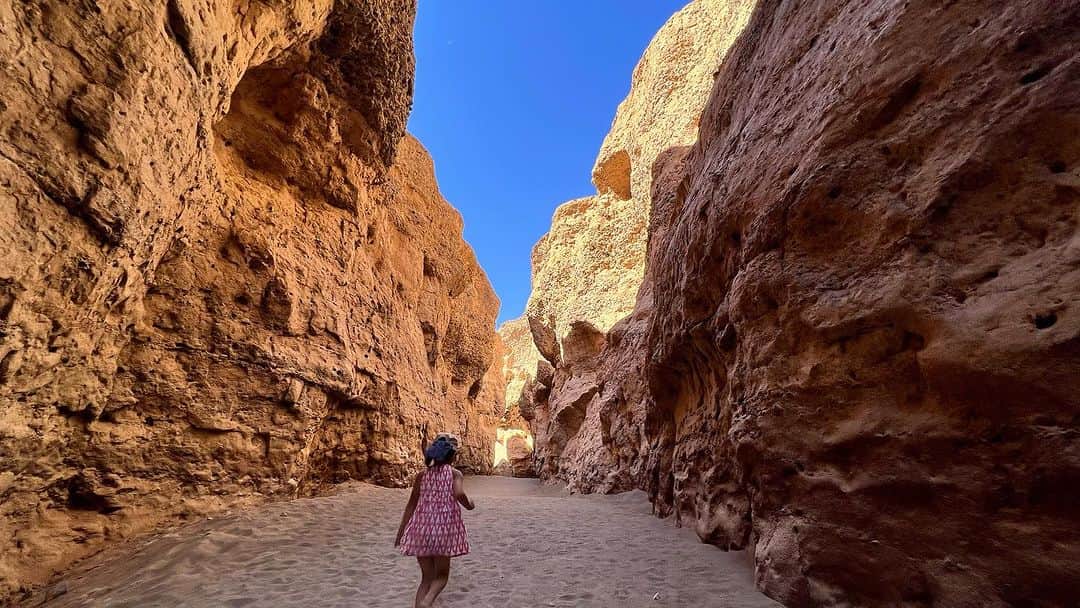 榎戸教子さんのインスタグラム写真 - (榎戸教子Instagram)「【ナミビア】 砂漠では貴重な木陰。 ガイドさんが（私が砂丘に登っている間に） 探してくれていました。 時折り吹く風を感じながらランチタイム。 何もないところなのに ありがたさを感じるのです。  ナミブ砂漠を少しだけ走ってみました。  #namibia #namibdesert #desert  #trip #worldheritage #africa #lunch #treeshadow #ナミブ砂漠 #run」10月30日 12時00分 - noriko_enokido