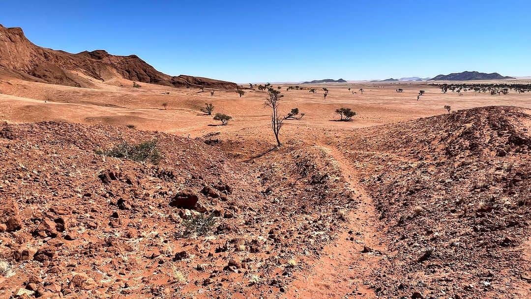 榎戸教子さんのインスタグラム写真 - (榎戸教子Instagram)「【ナミビア】 砂漠では貴重な木陰。 ガイドさんが（私が砂丘に登っている間に） 探してくれていました。 時折り吹く風を感じながらランチタイム。 何もないところなのに ありがたさを感じるのです。  ナミブ砂漠を少しだけ走ってみました。  #namibia #namibdesert #desert  #trip #worldheritage #africa #lunch #treeshadow #ナミブ砂漠 #run」10月30日 12時00分 - noriko_enokido